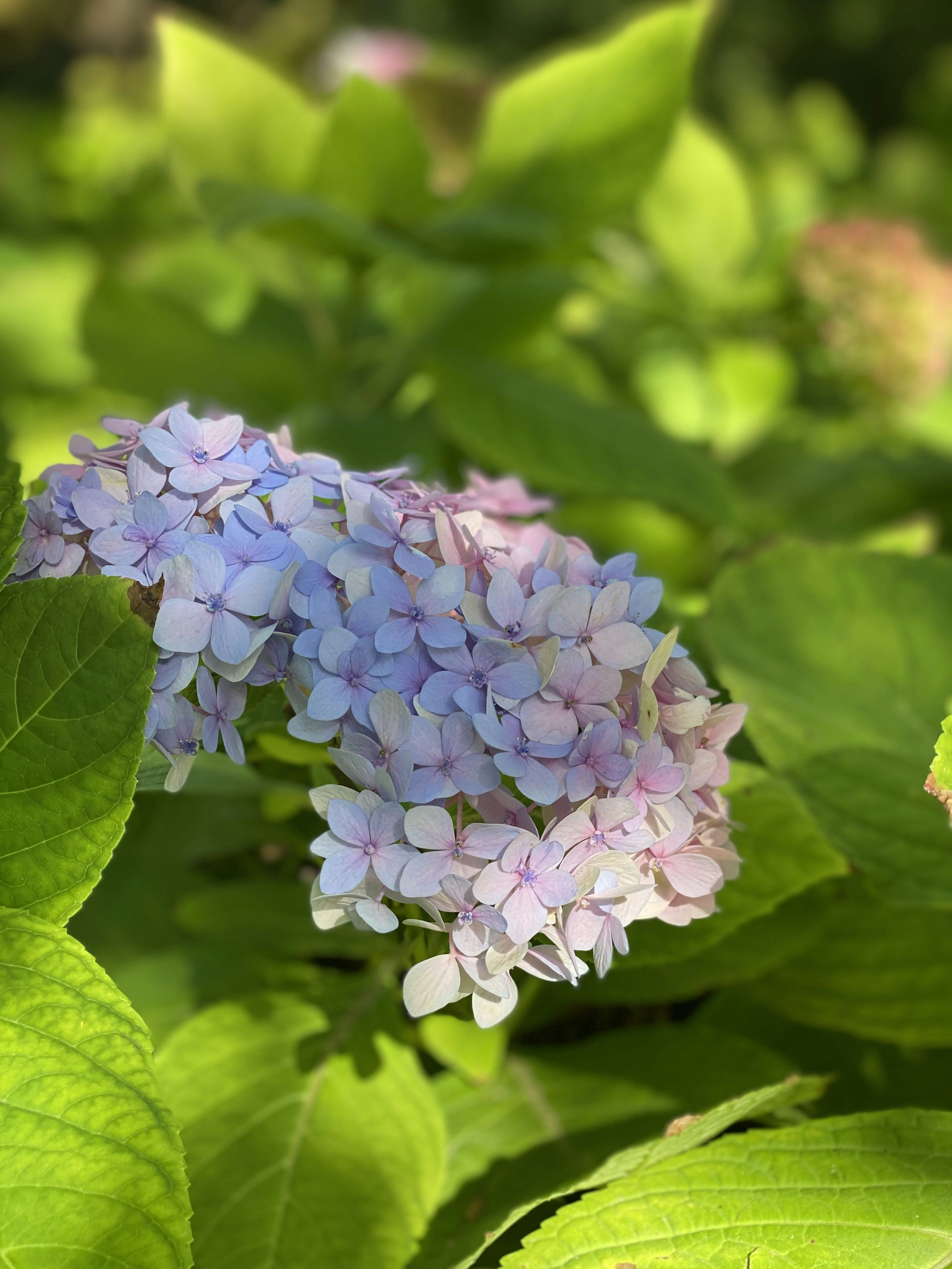 Photo by jennifergools