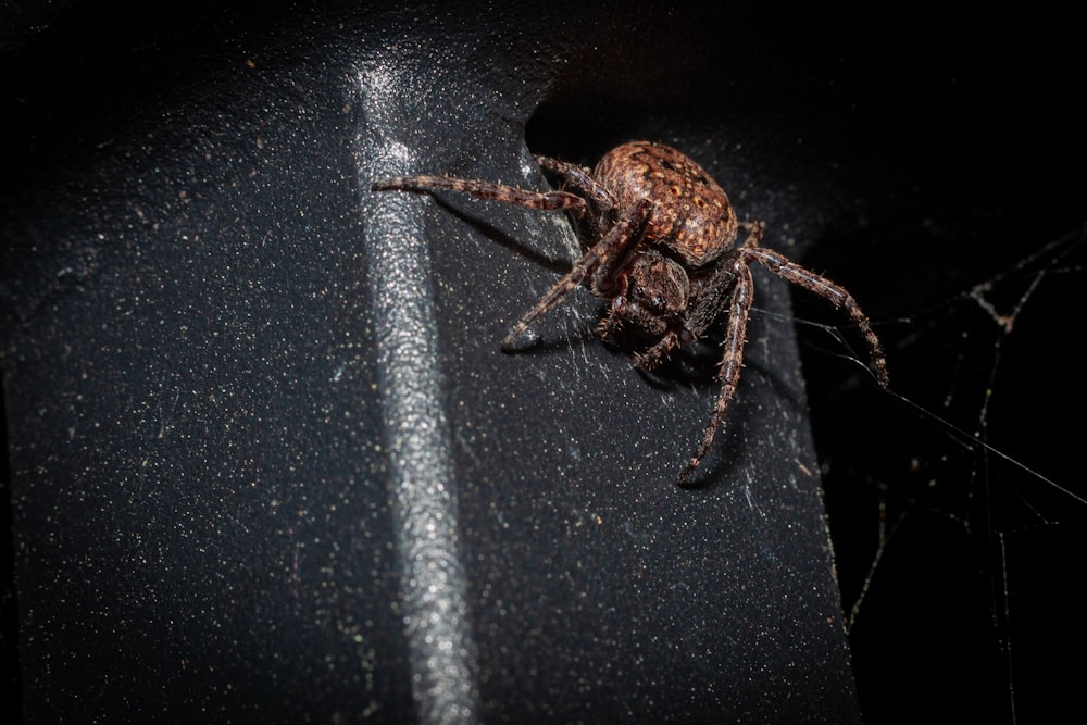 a brown spider sitting on top of a black surface