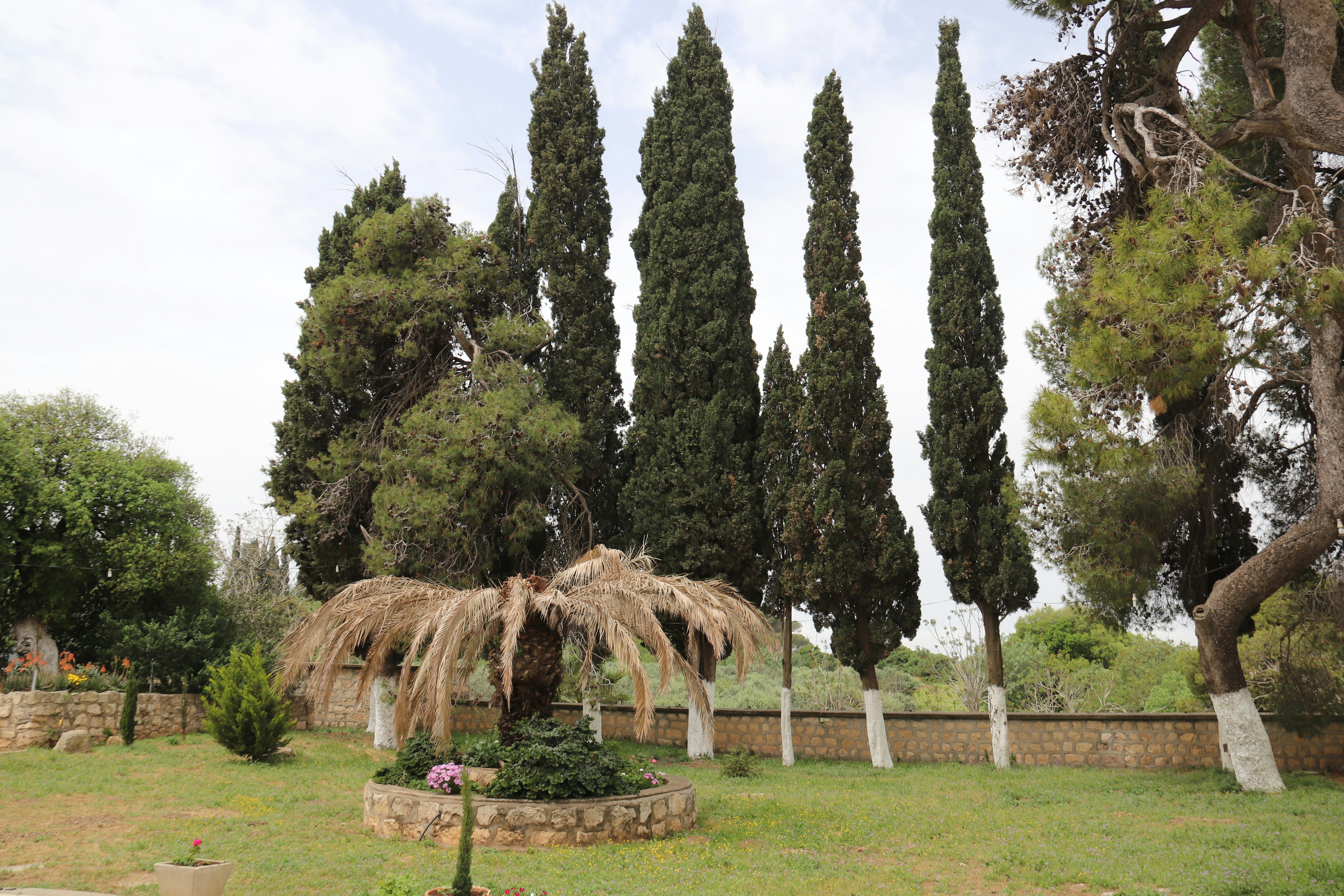 Photo by shalevcohen