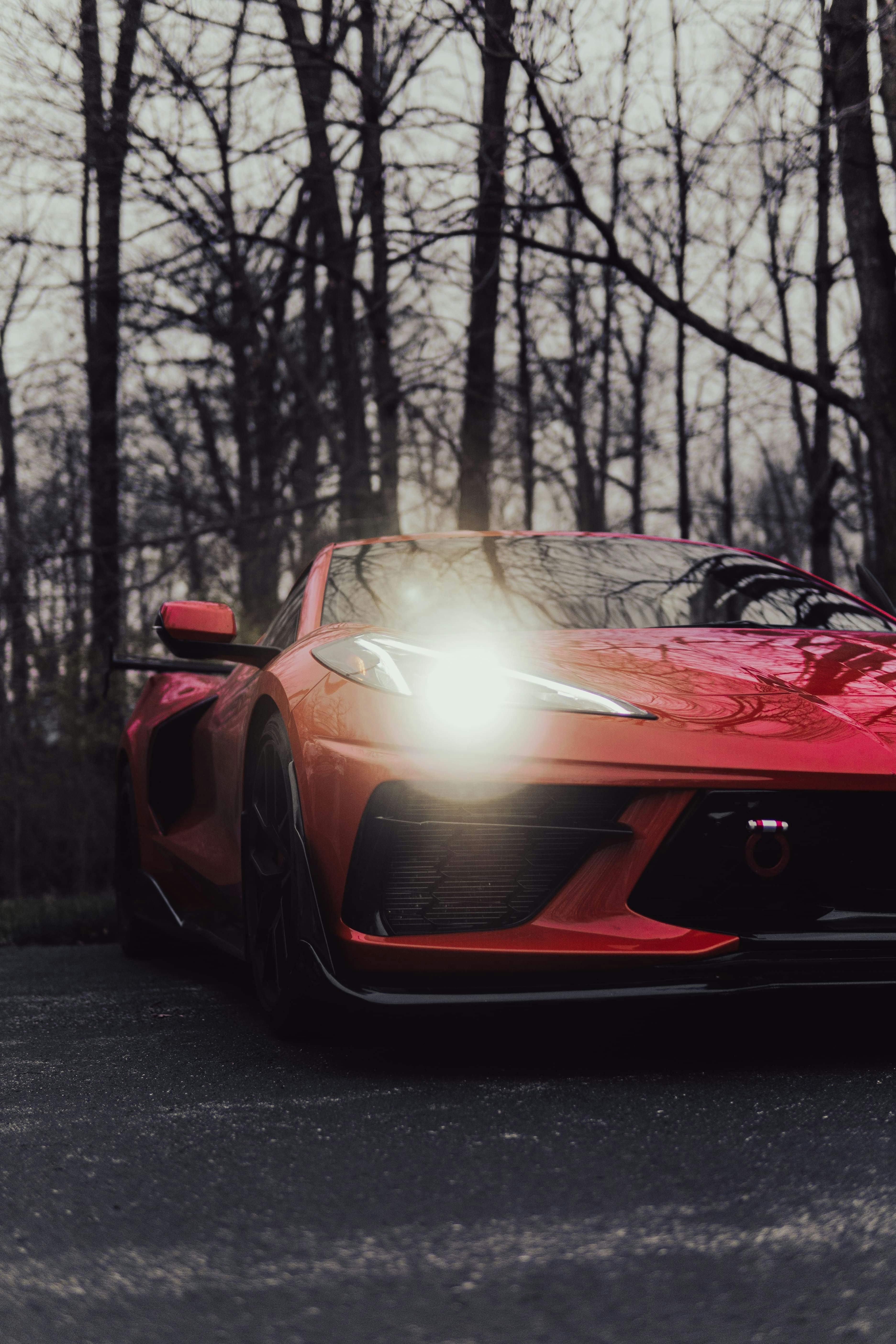 Photo by mrgreatheart