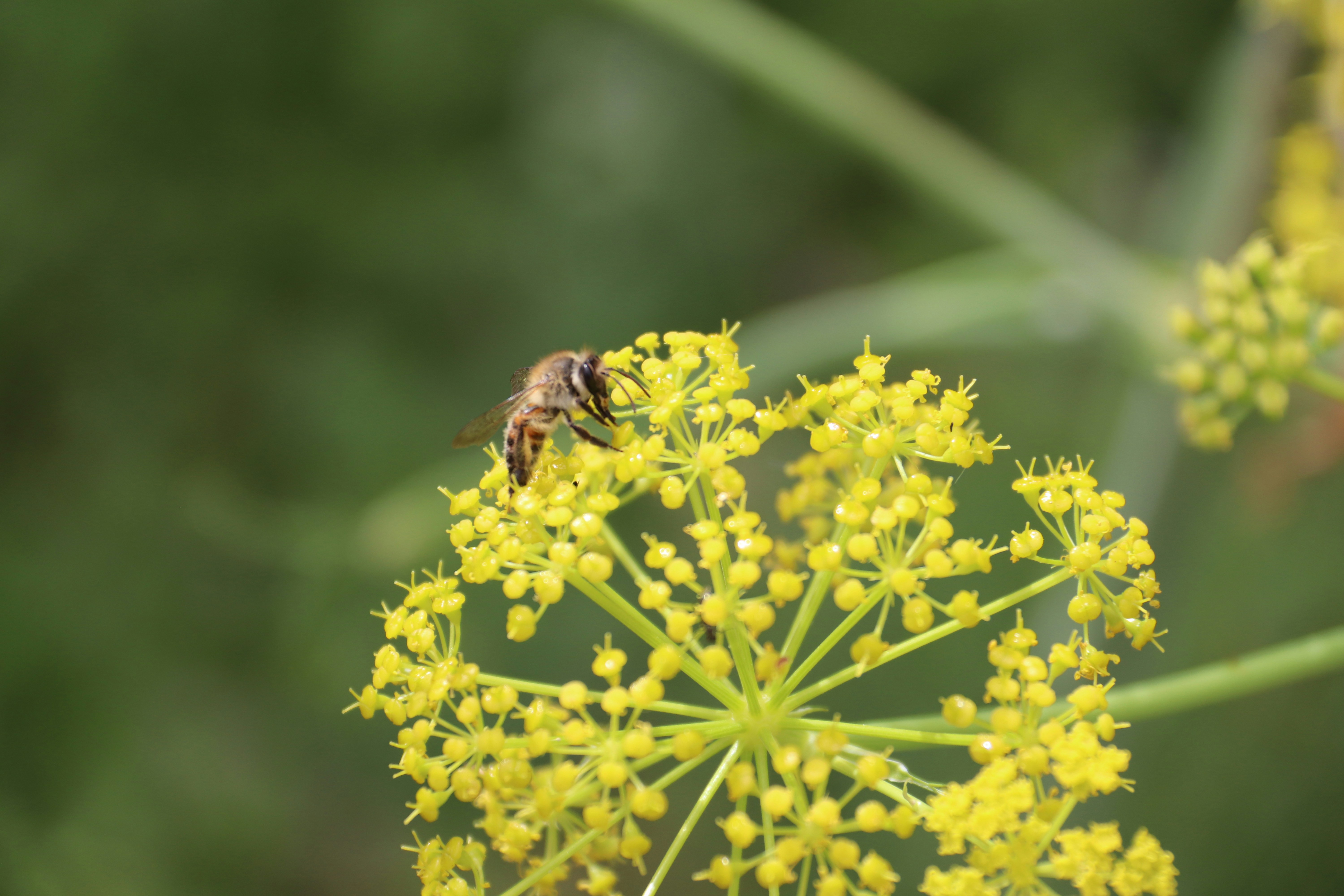 Photo by shalevcohen