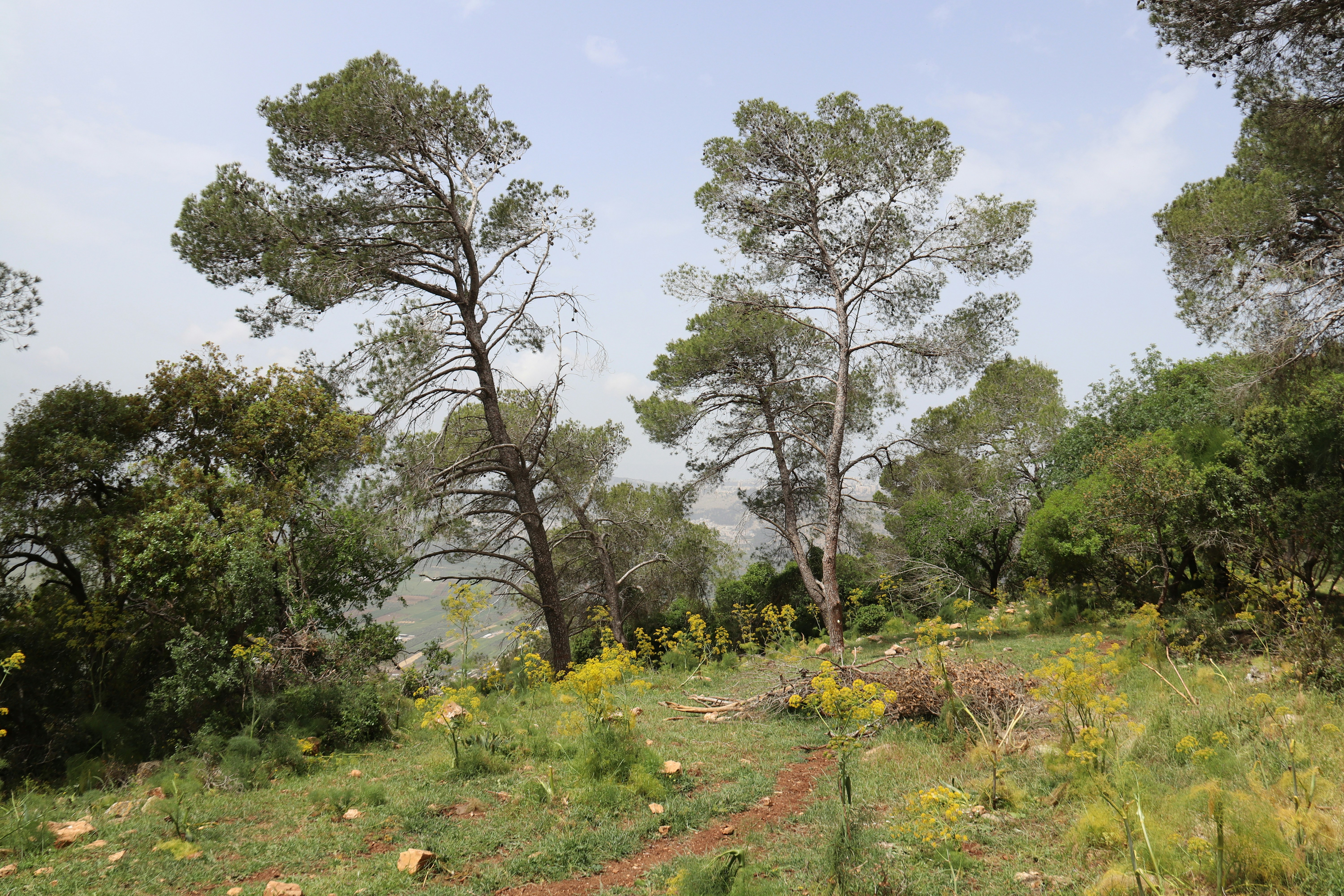 Photo by shalevcohen