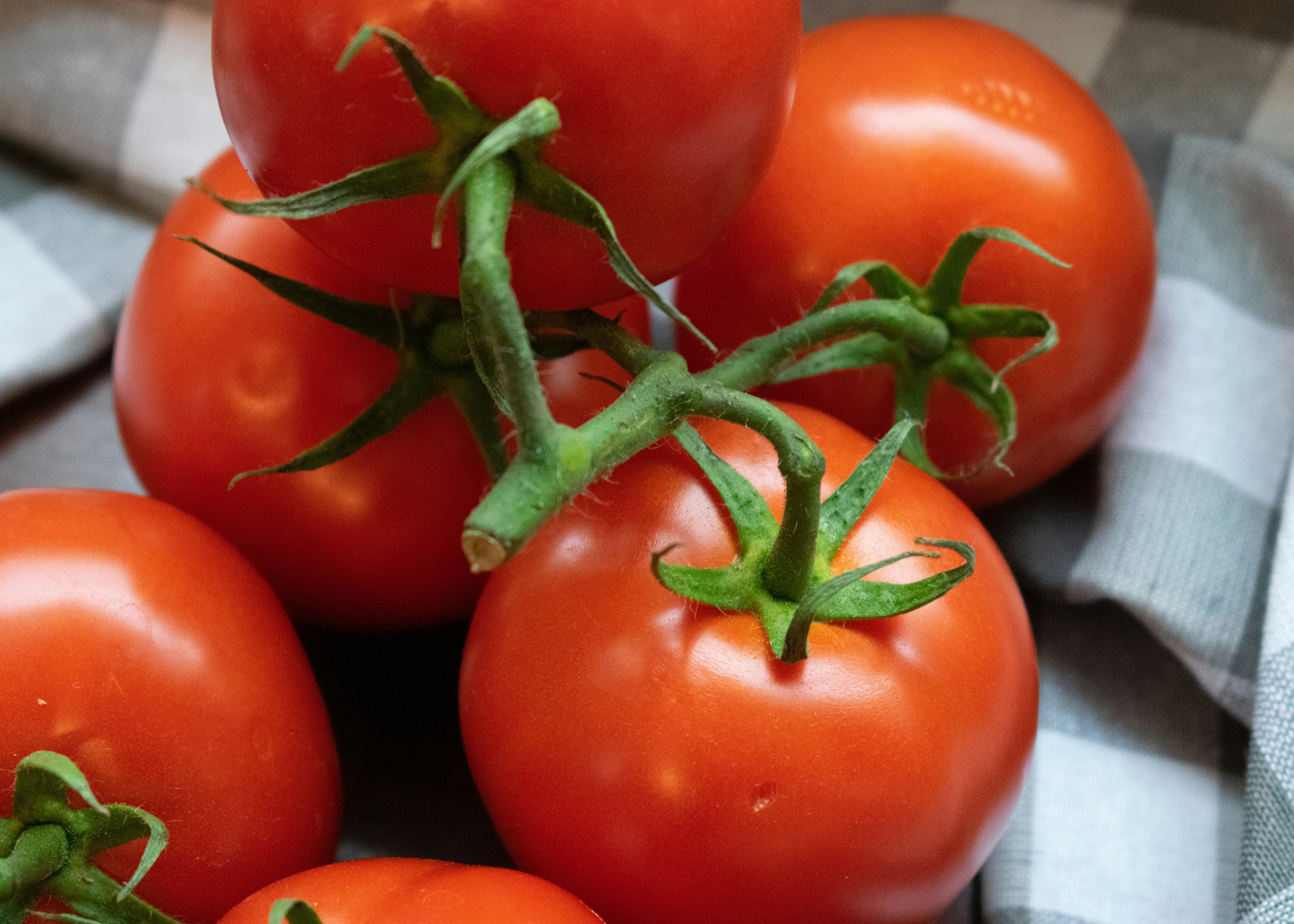 Photo by sparkledump