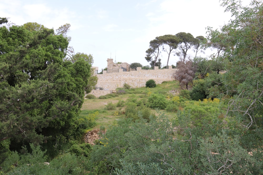 a large building sitting on top of a lush green hillside