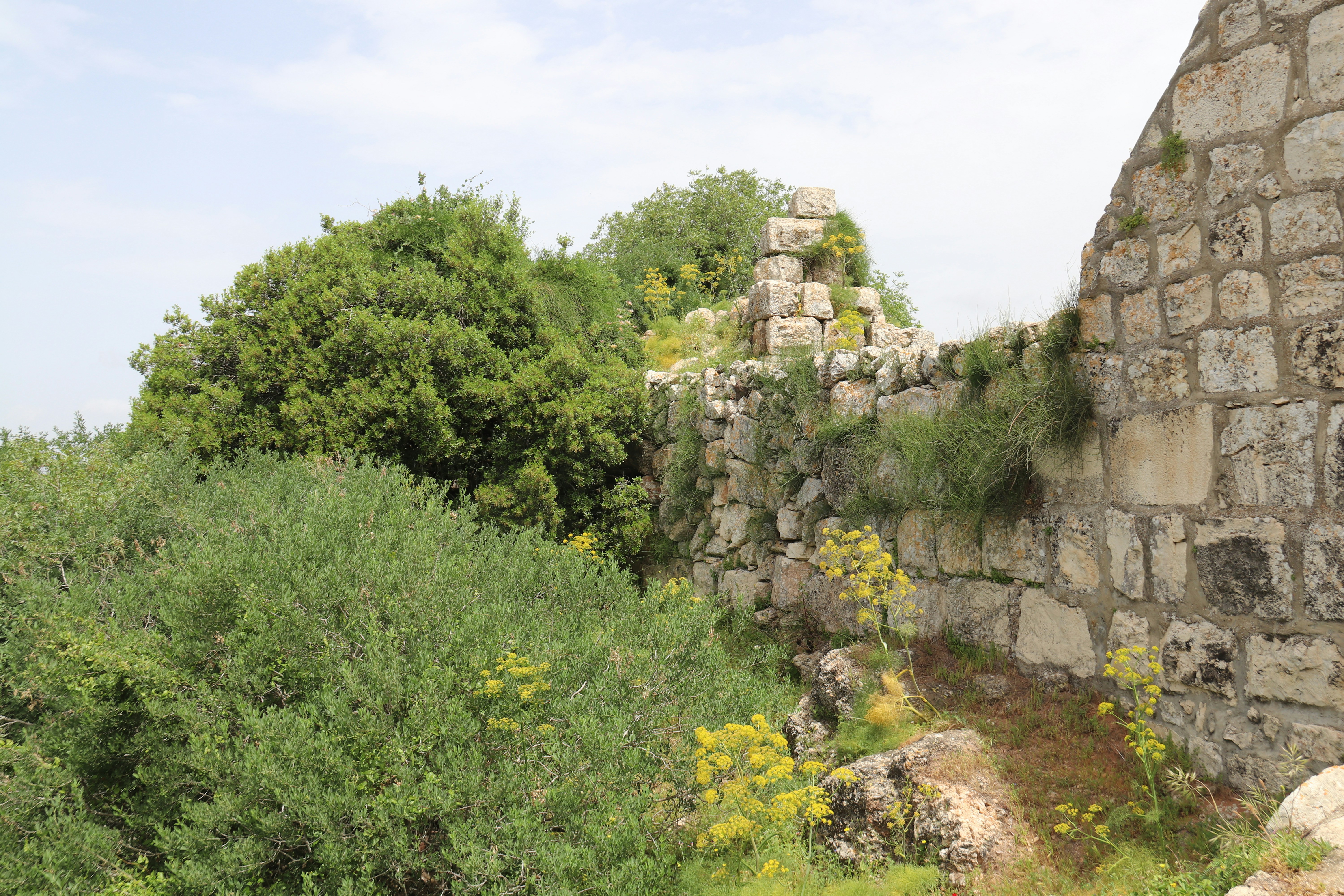 Photo by shalevcohen