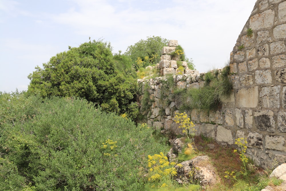 a stone wall surrounded by trees and bushes