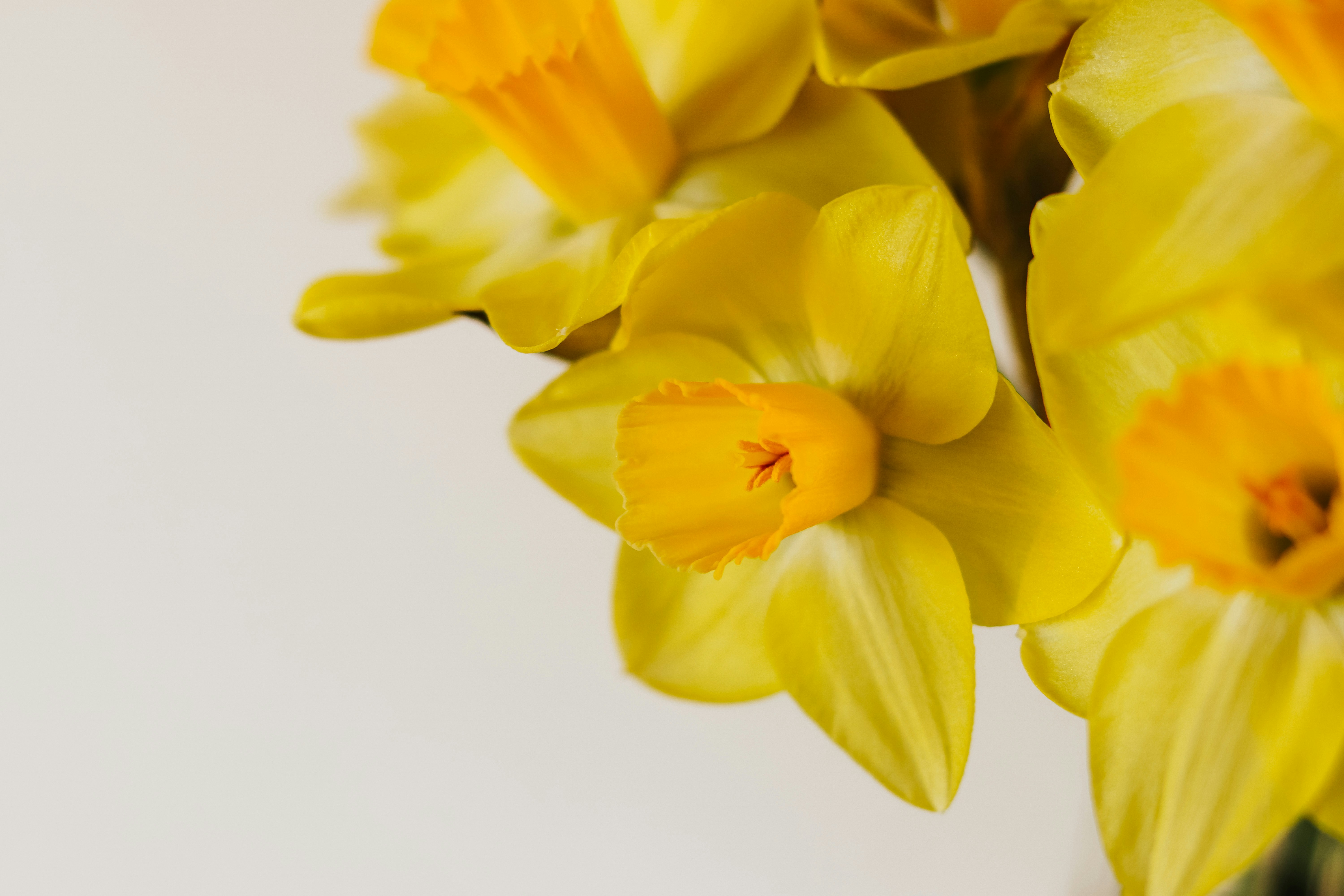 Photo by honeypoppet