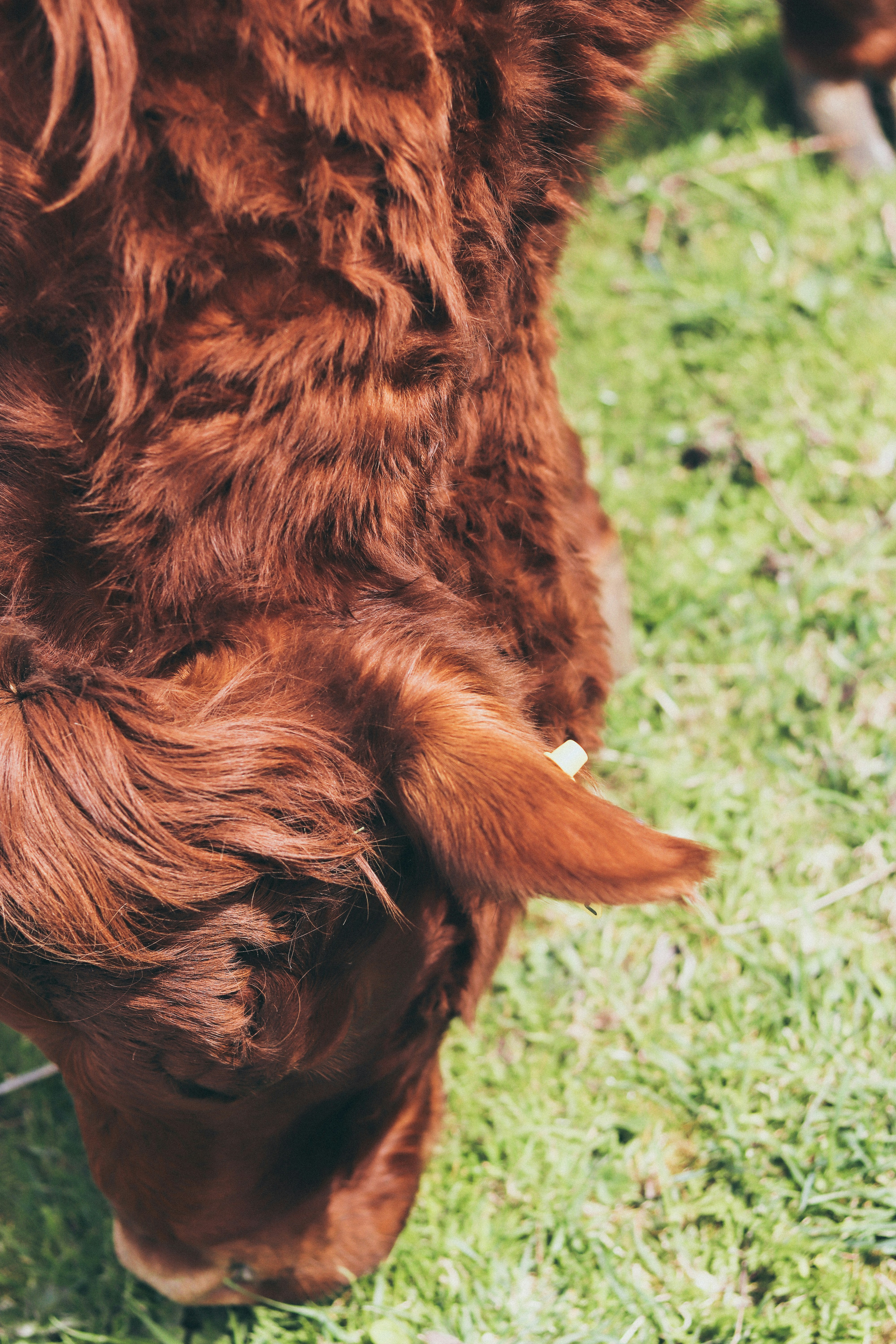 Photo by honeypoppet