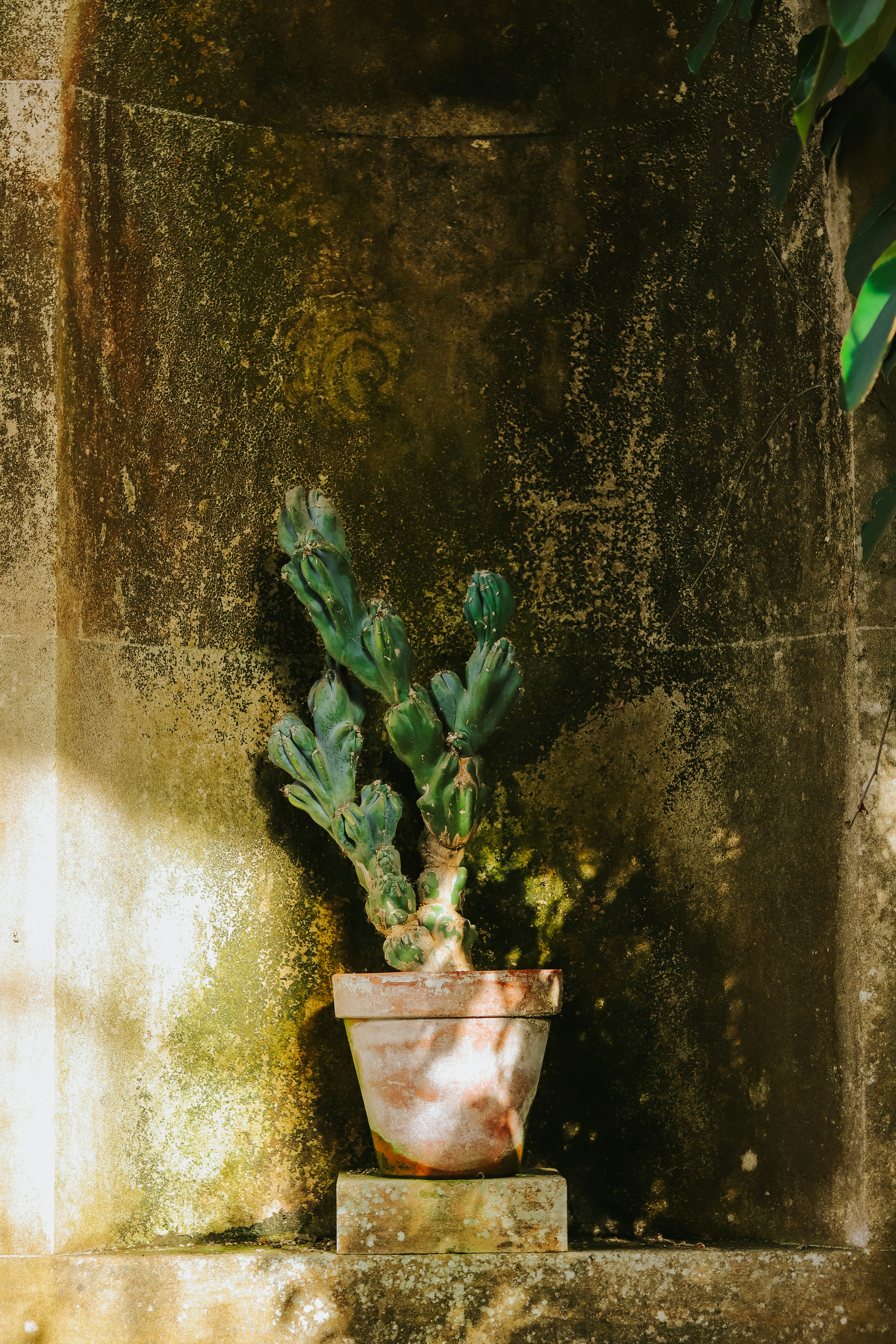 Photo by honeypoppet