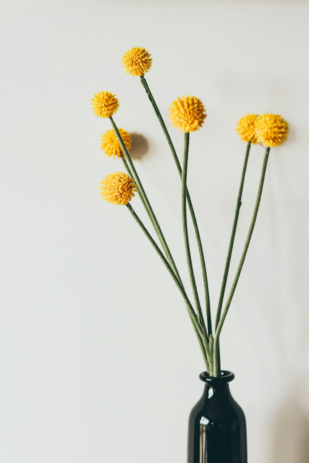 a black vase with yellow flowers in it