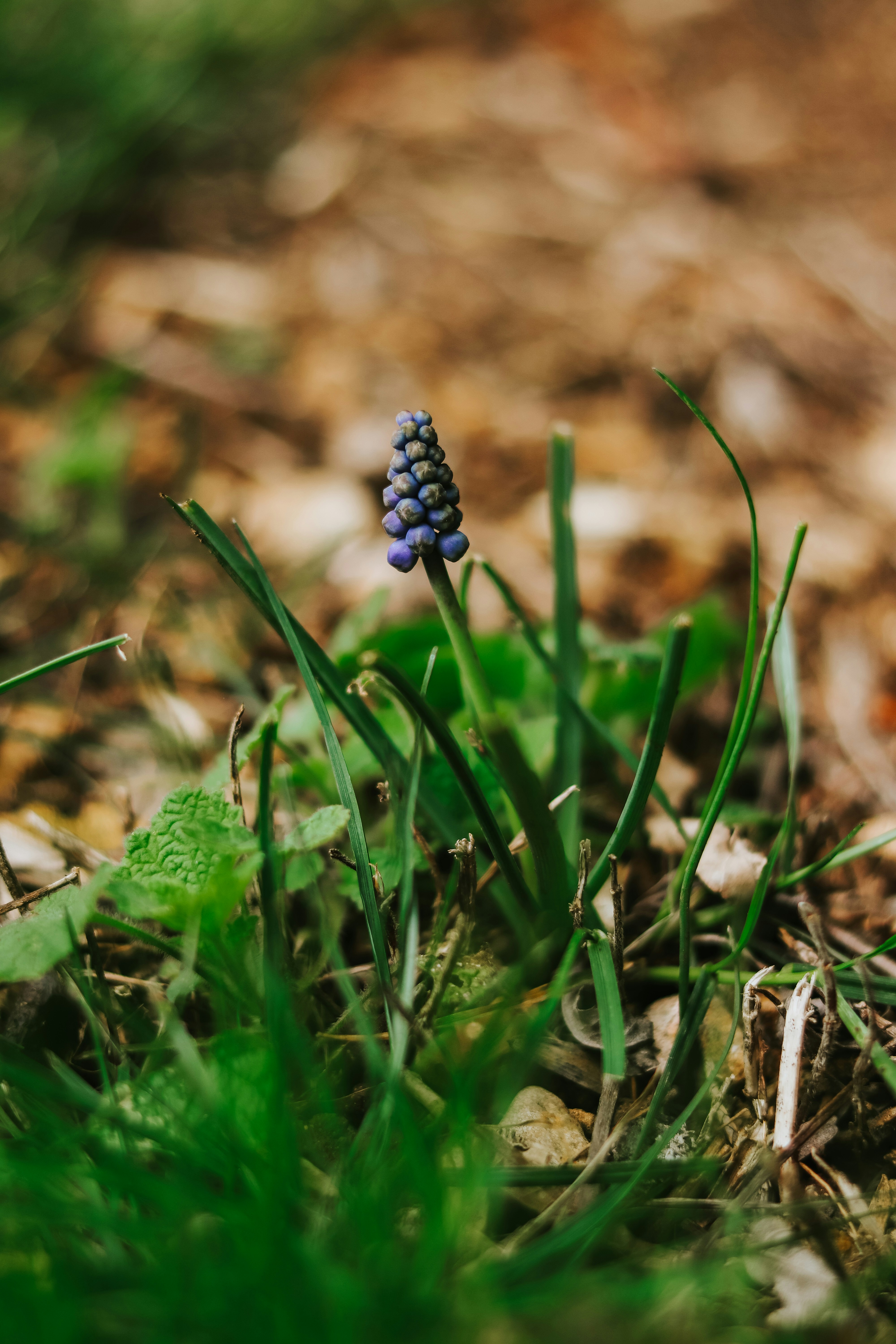 Photo by honeypoppet