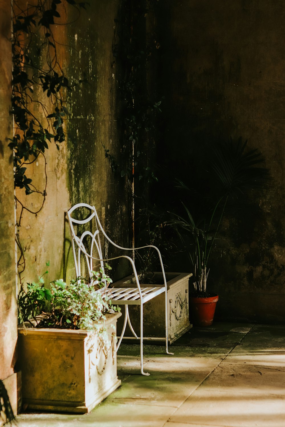 a white chair sitting next to a potted plant
