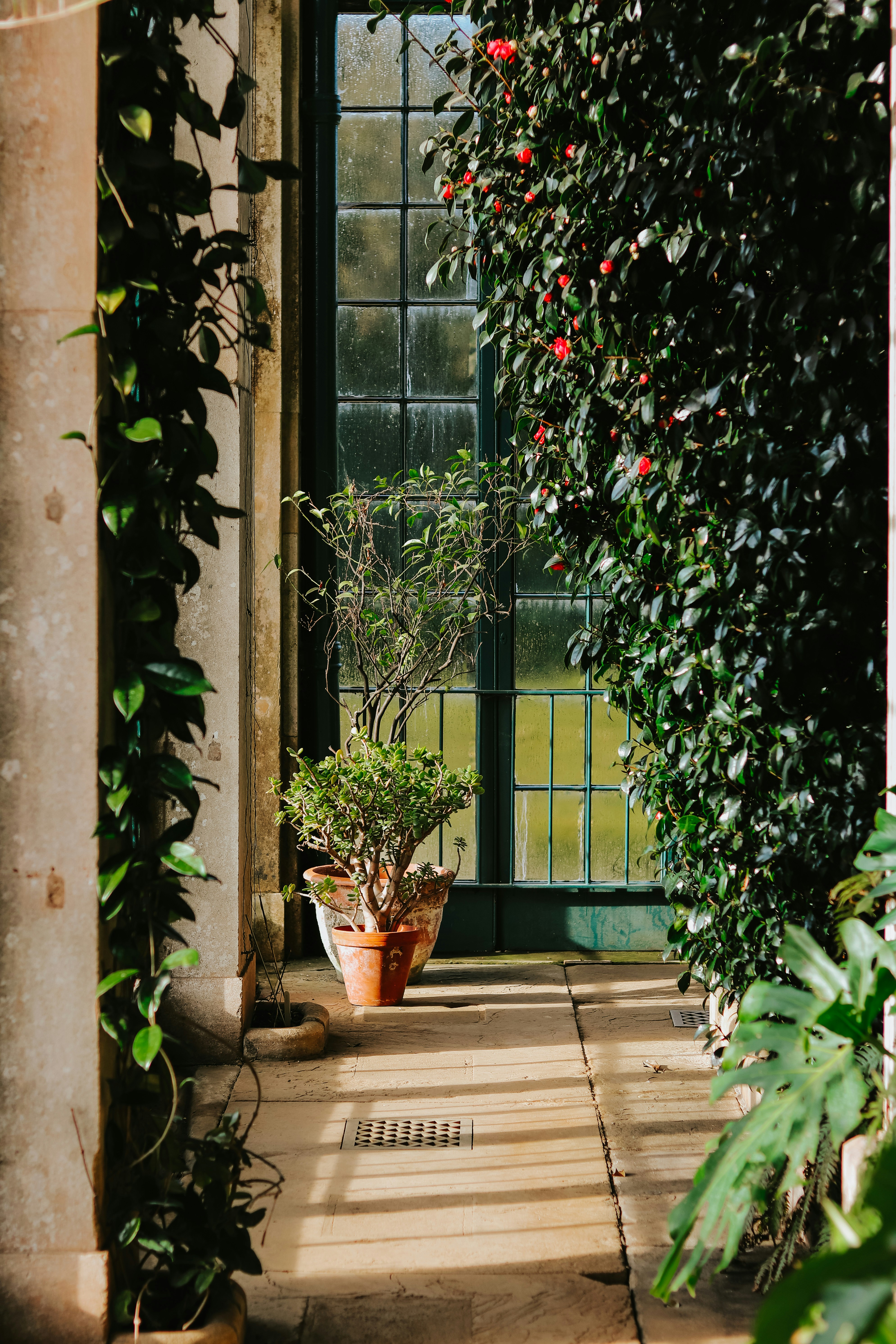 Photo by honeypoppet