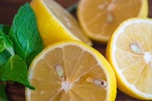 Close-up of crisp dried lemon slices arranged on a white ceramic plate with fresh green mint leaves nearby