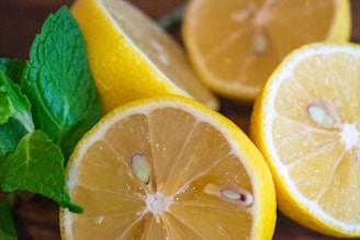 Close-up of vibrant dried lemon and mint slices arranged artfully on a white background.