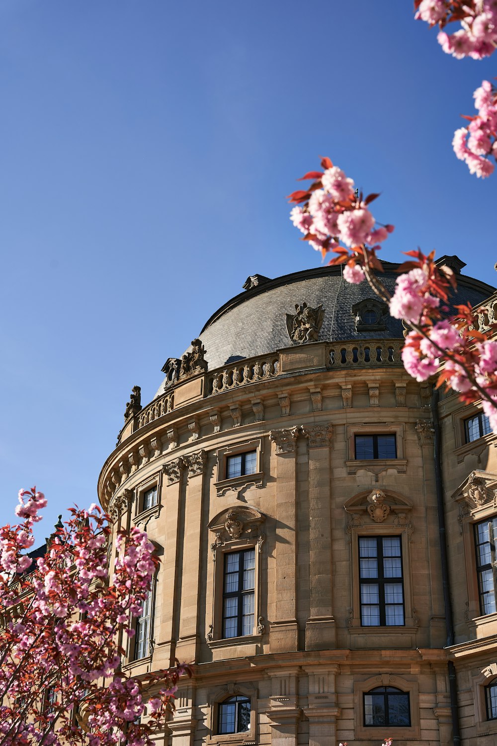 a building with pink flowers on a sunny day