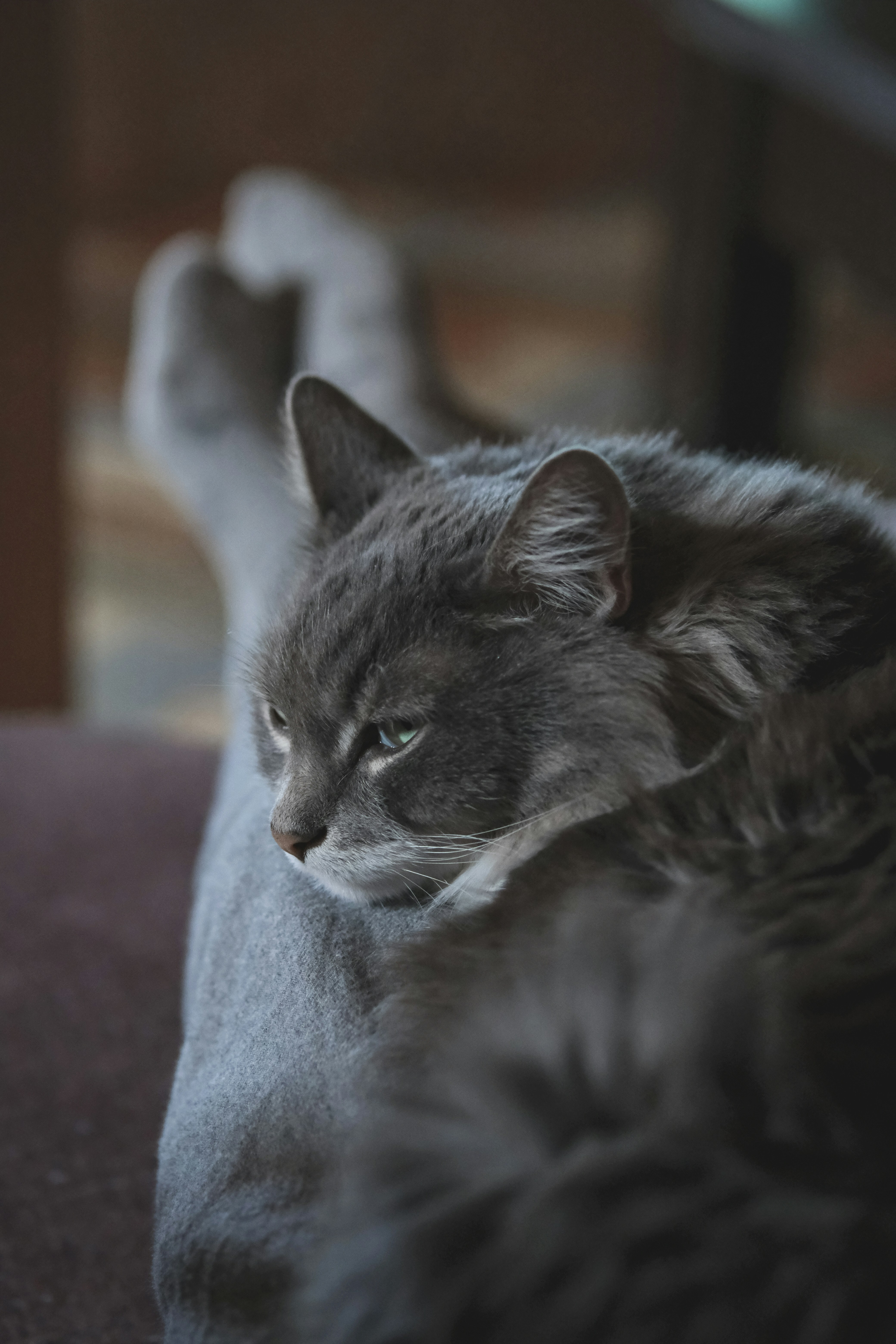 Photo by rolig_basseng