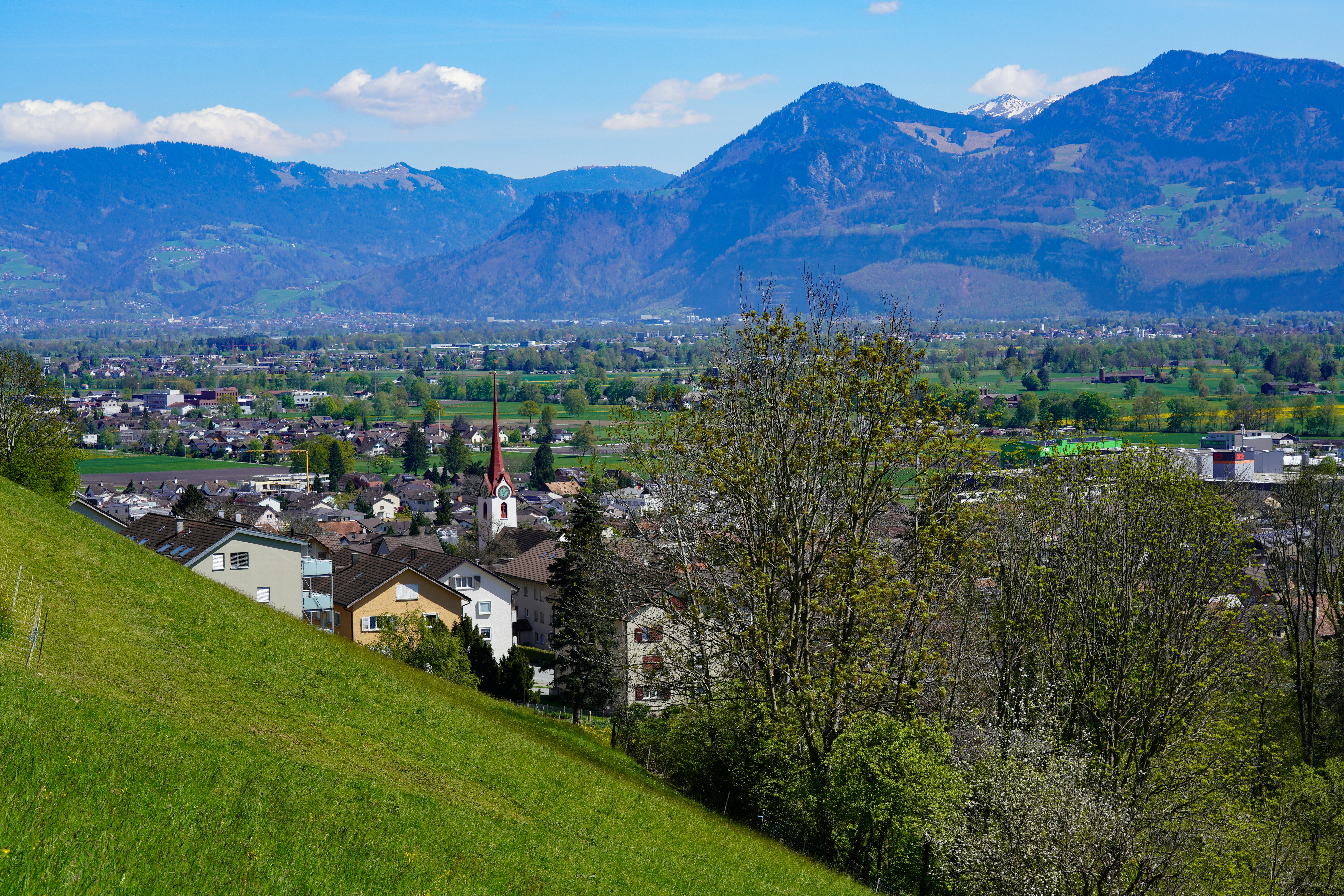 Photo by pepelnar1963