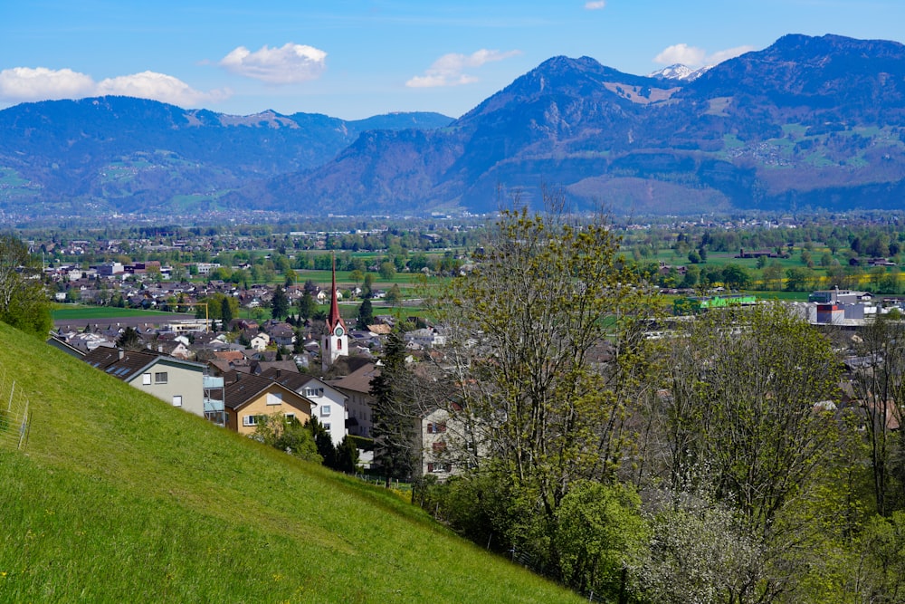 a view of a town with mountains in the background