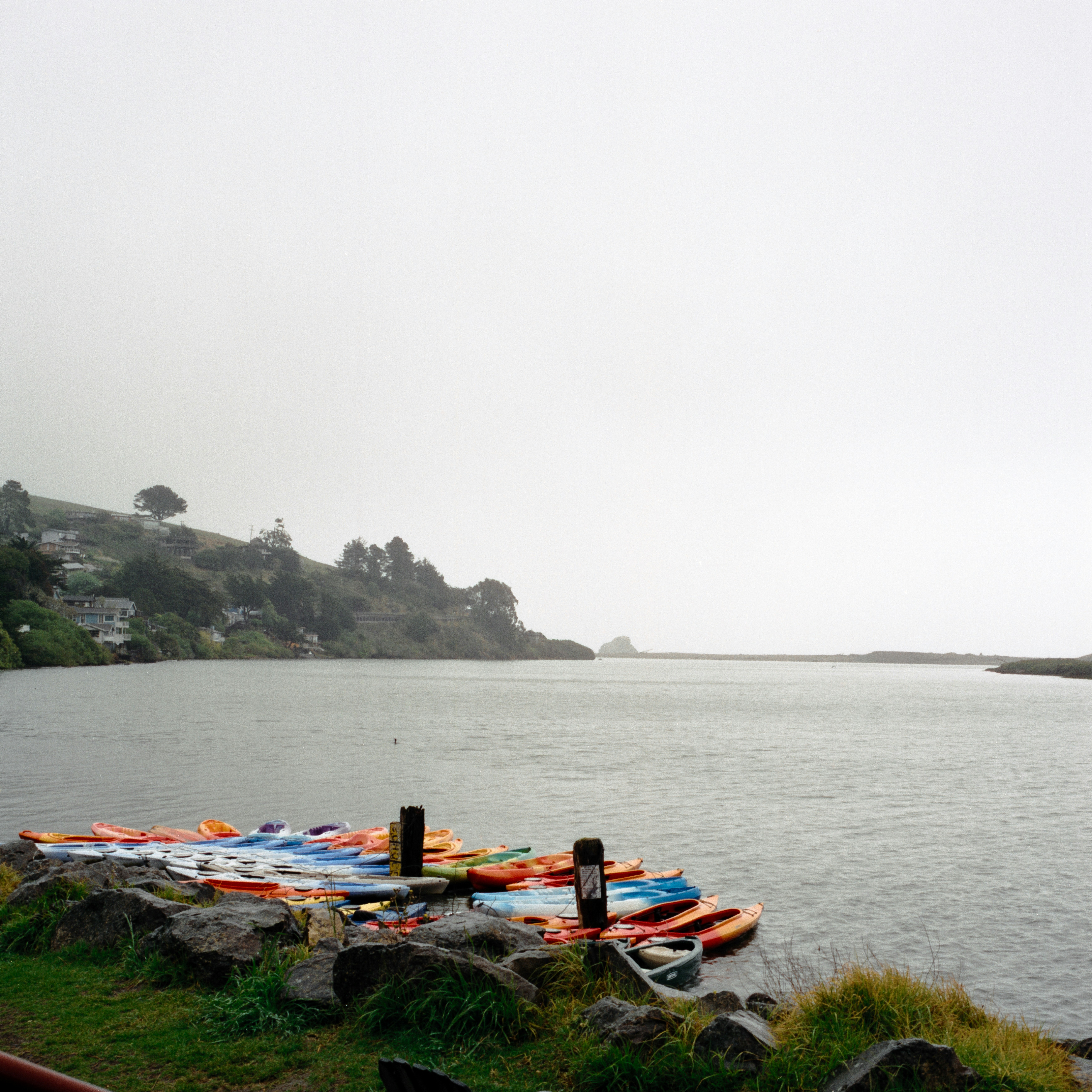 a row of kayaks sitting on the shore of a lake