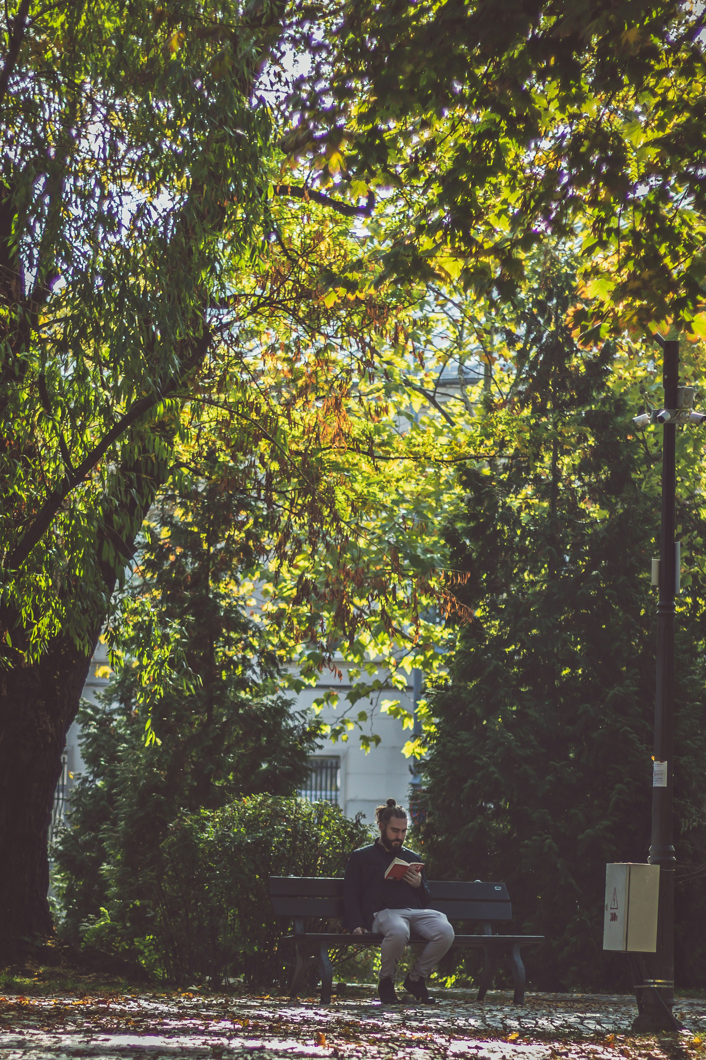 A person sitting on a bench in a park photo – Free Person Image on Unsplash