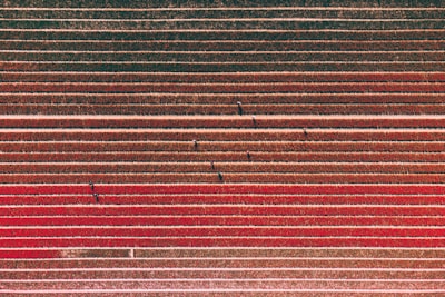 Aerial view of a field with parallel rows of crops. The colors shift from earthy browns to vibrant reds, suggesting different types of plants or stages of growth. Small, dark figures, possibly people, are scattered across the rows, providing a sense of scale.