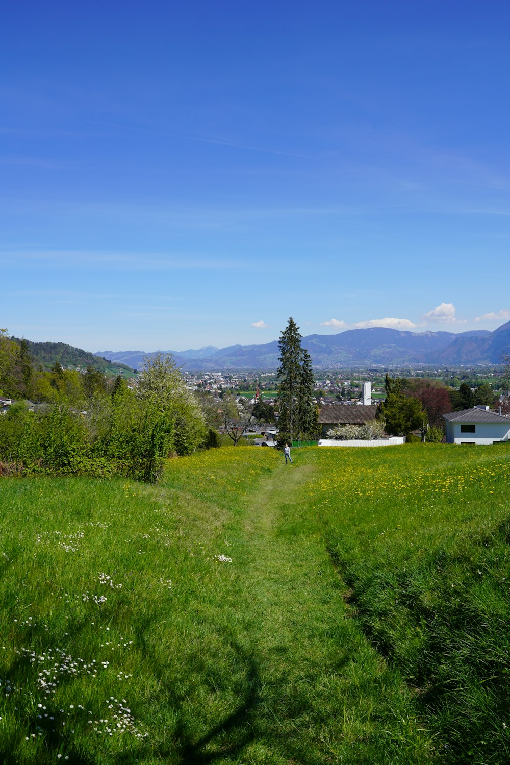 a person walking down a path in a field