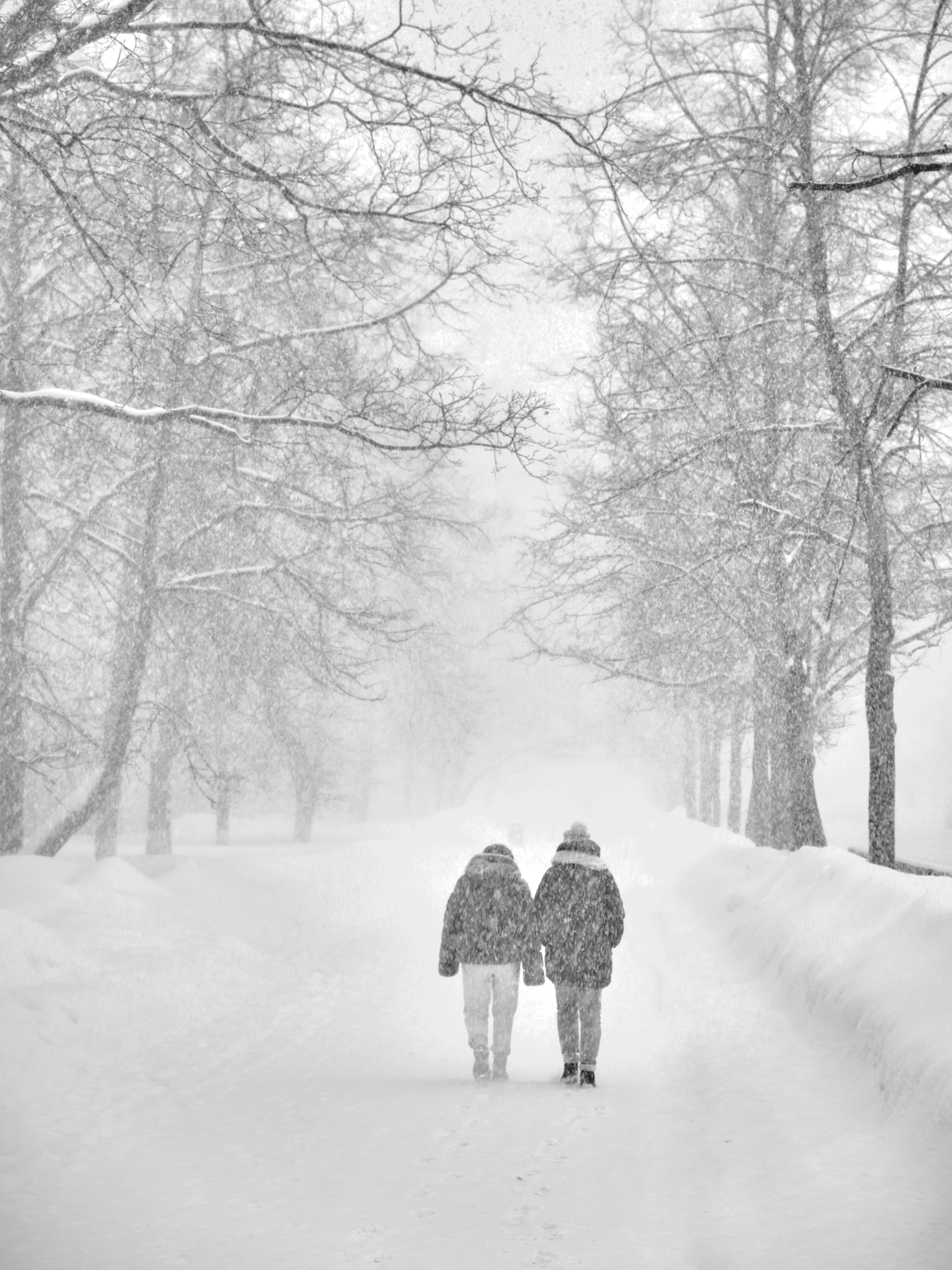 Photo by yansavitsky