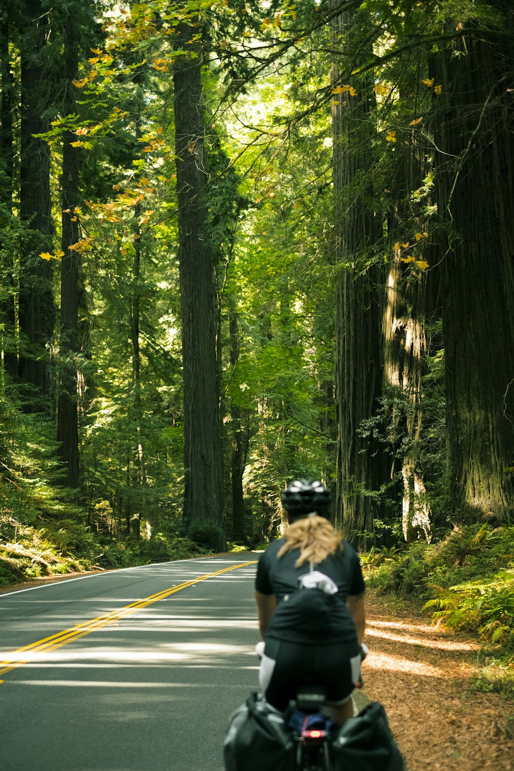 a person riding a bike down a road in the woods