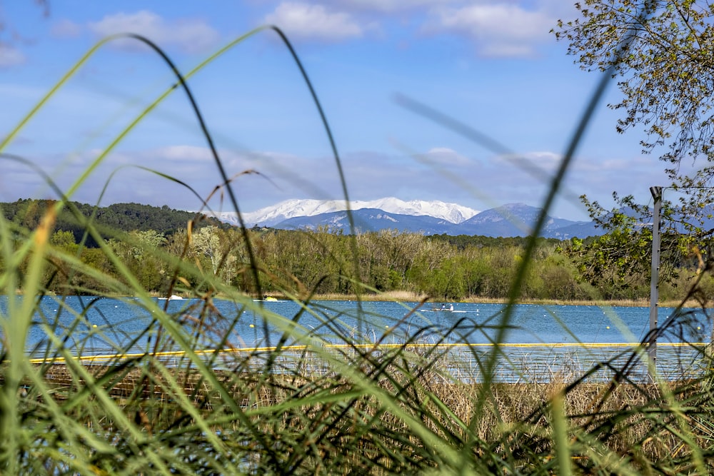 a body of water with mountains in the background