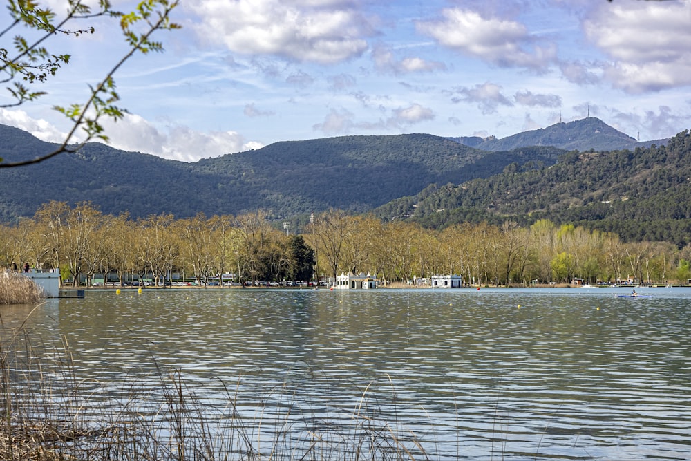 a body of water surrounded by mountains and trees