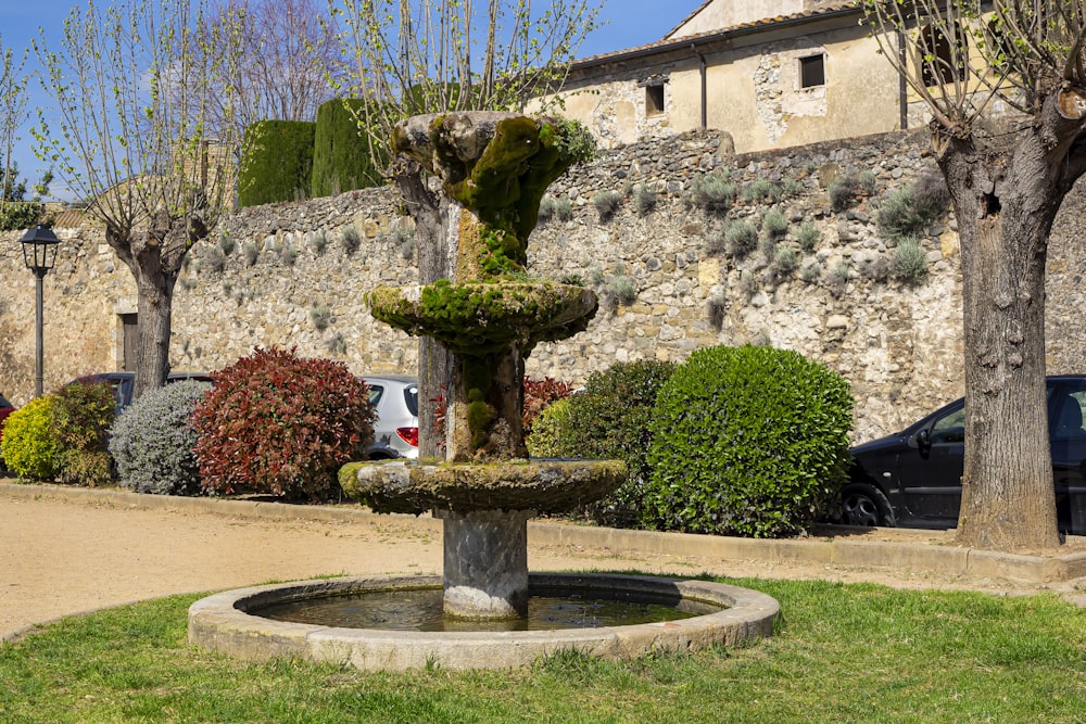 a fountain in the middle of a park