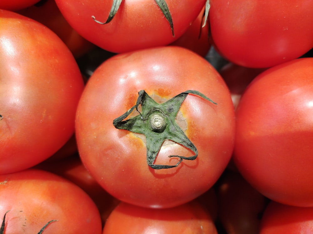 a close up of a bunch of tomatoes