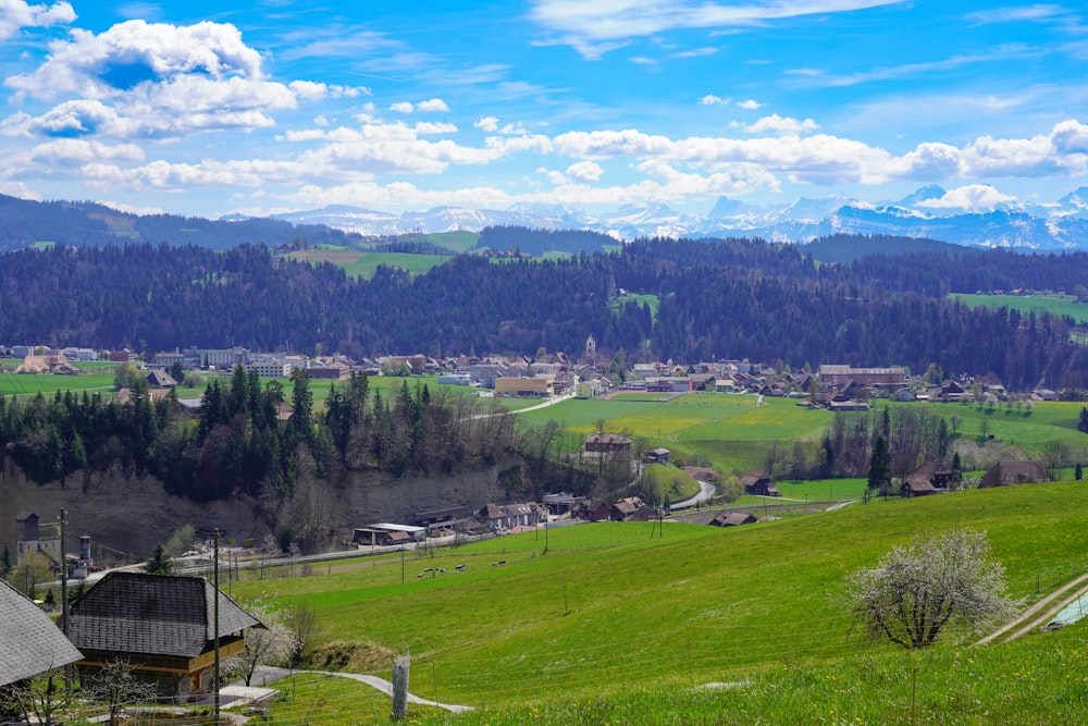 a lush green hillside with houses and mountains in the background