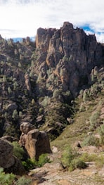 a rocky mountain landscape with trees and bushes
