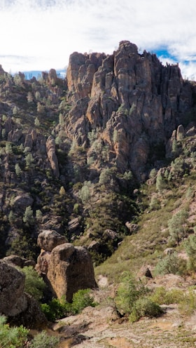 a rocky mountain landscape with trees and bushes