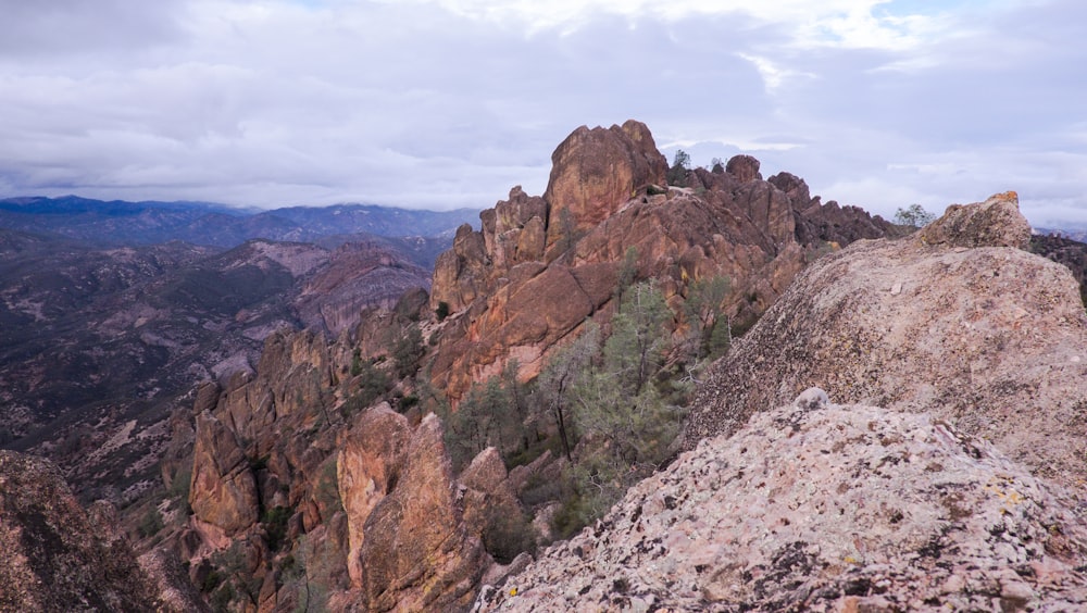 a man standing on top of a mountain next to a lush green forest