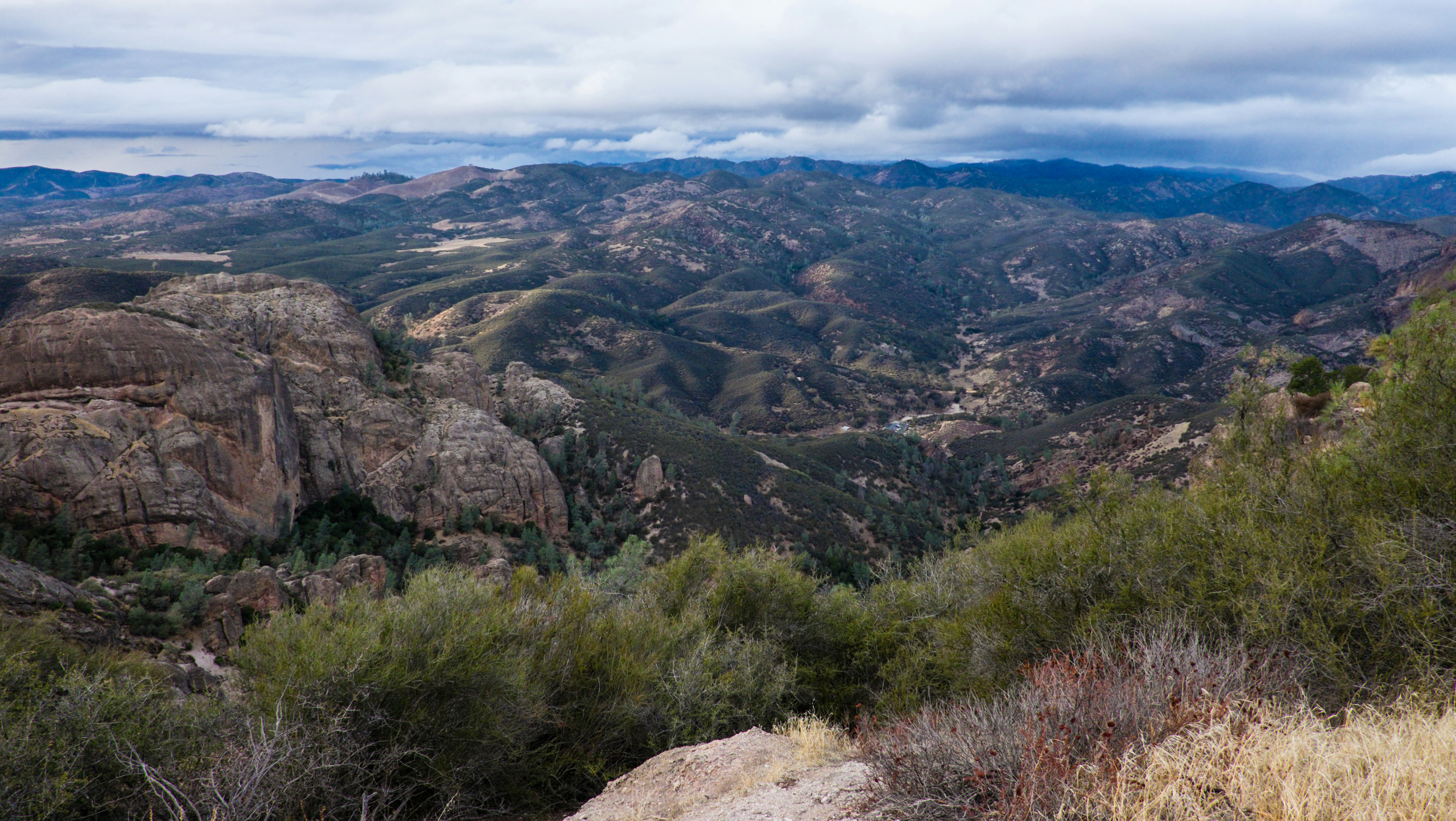 Photo by benguernsey