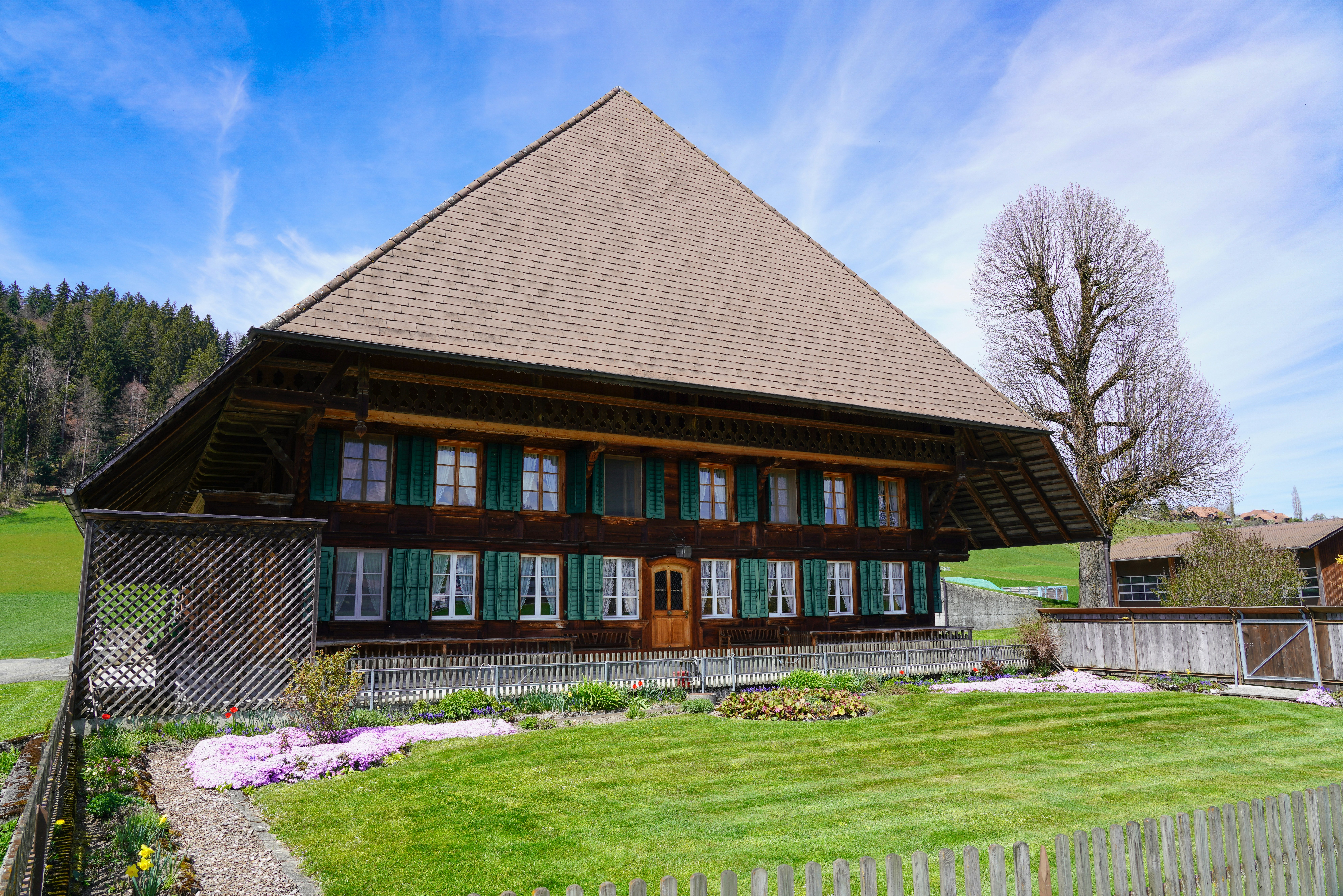 Photo by pepelnar1963