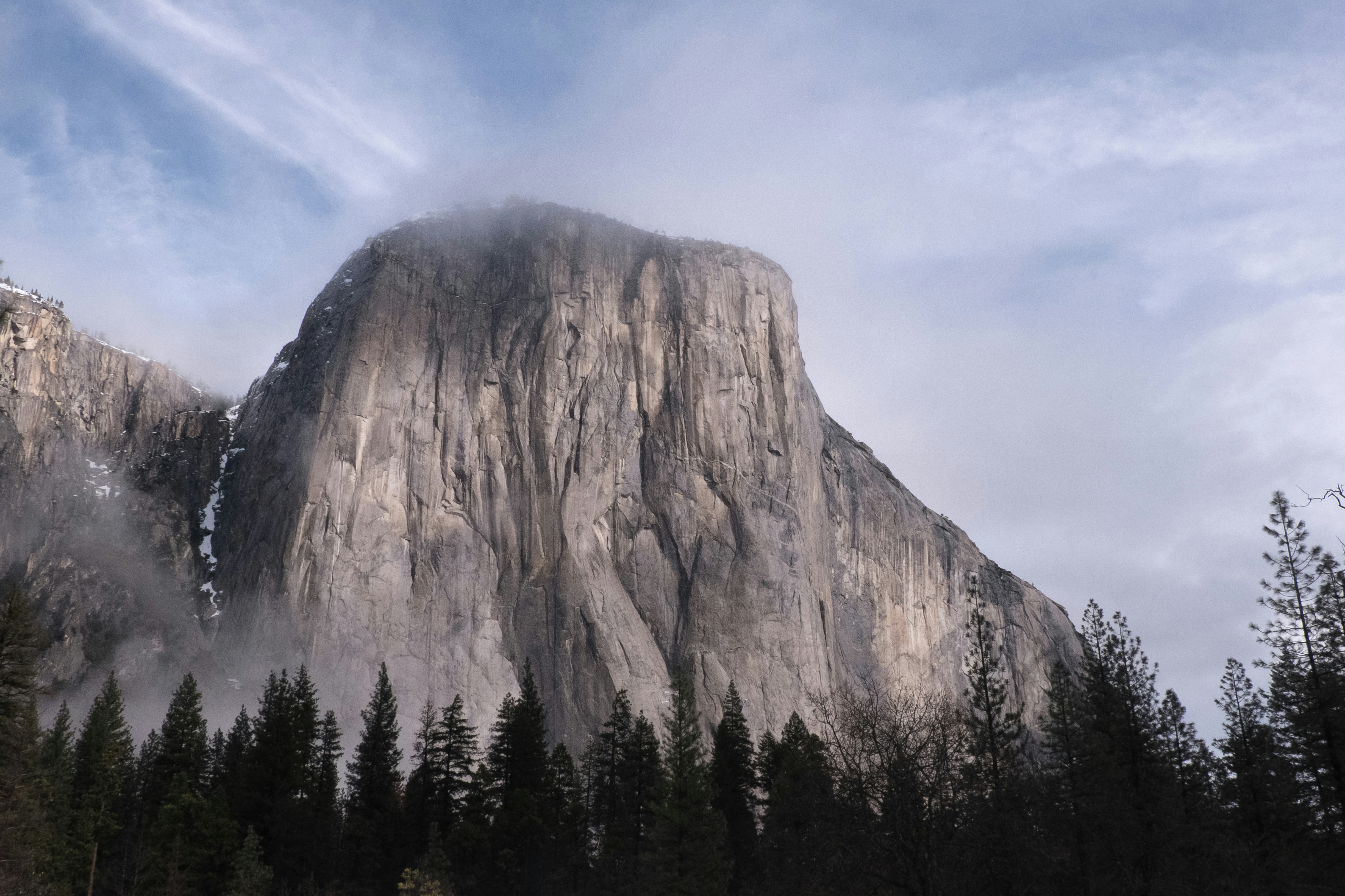 un'alta montagna con una foresta sotto di essa