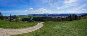 A tranquil landscape featuring a winding dirt path through farmland.