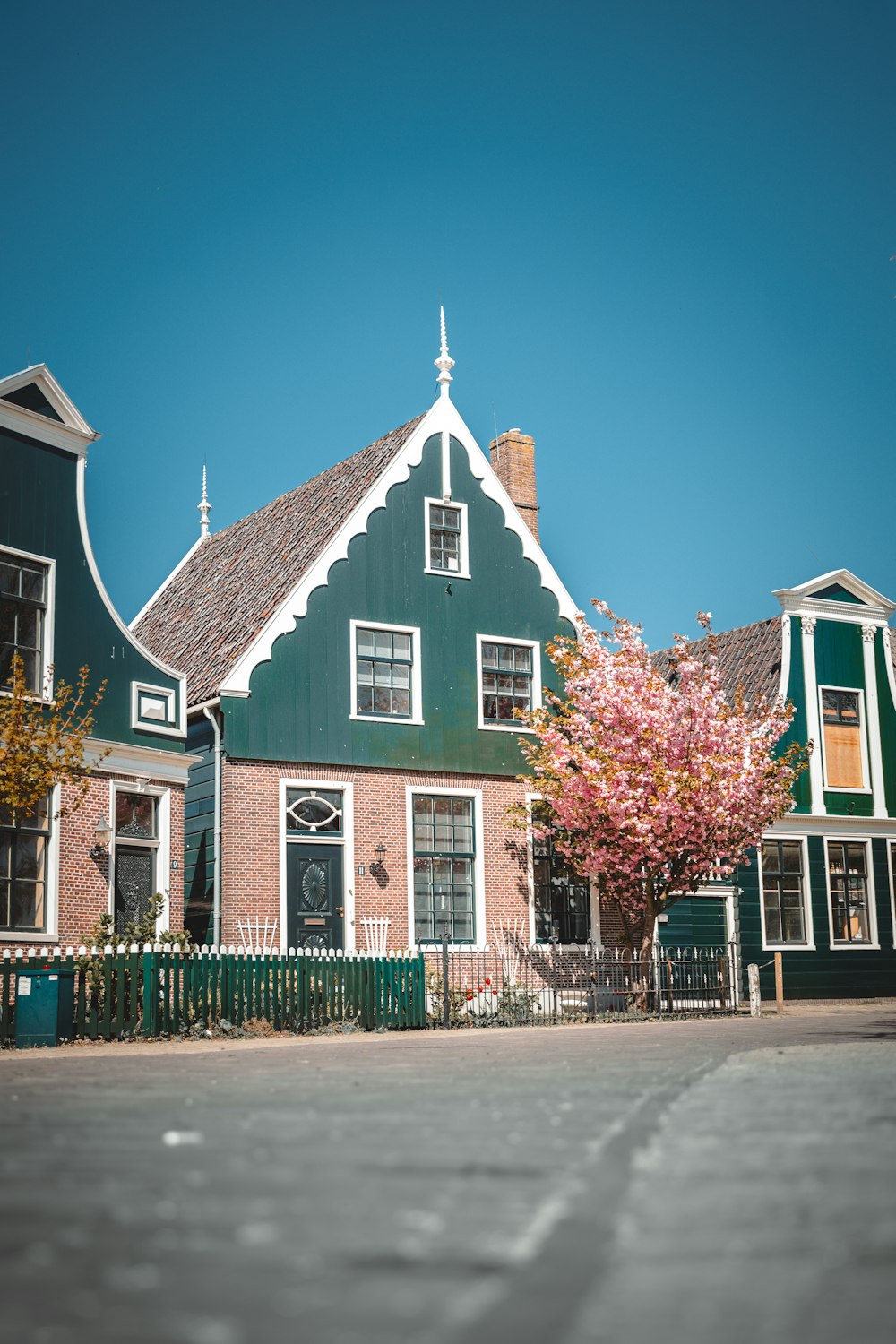 Una casa verde con un árbol rosa frente a ella