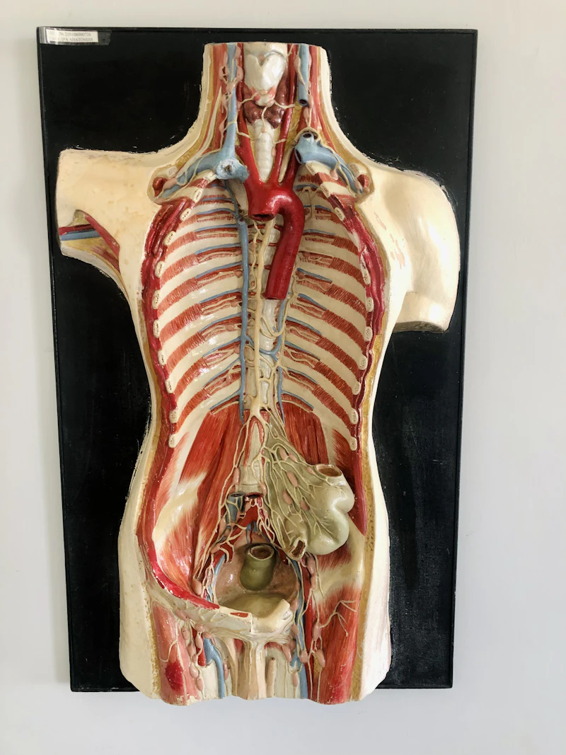 Pilonidal sinus treatment