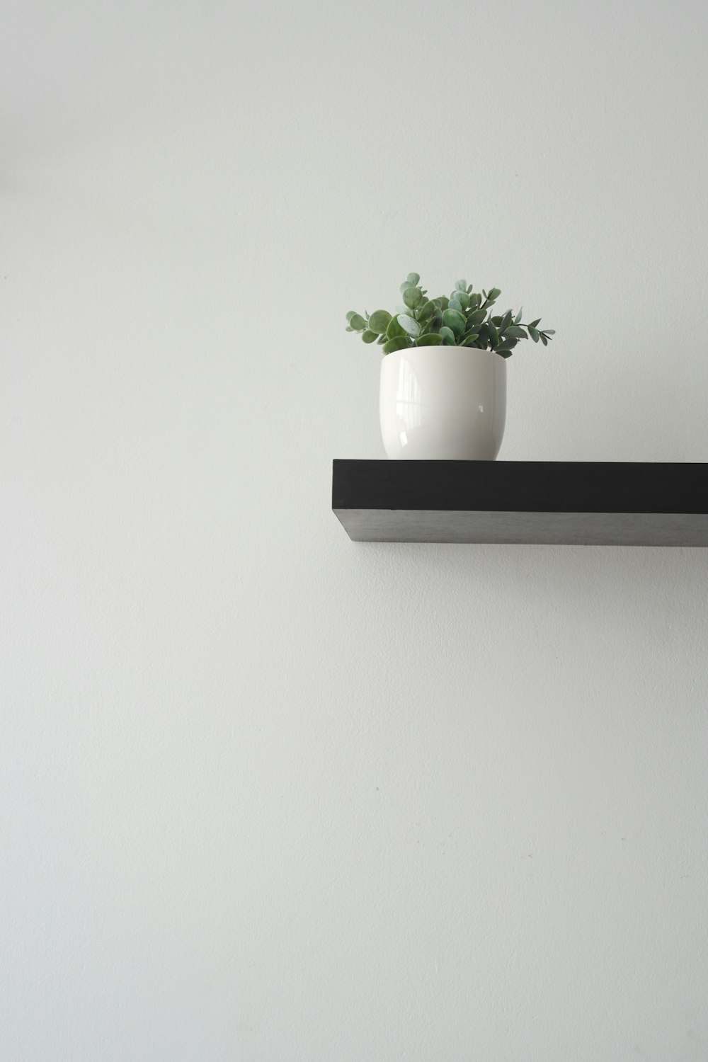 a potted plant is sitting on a shelf