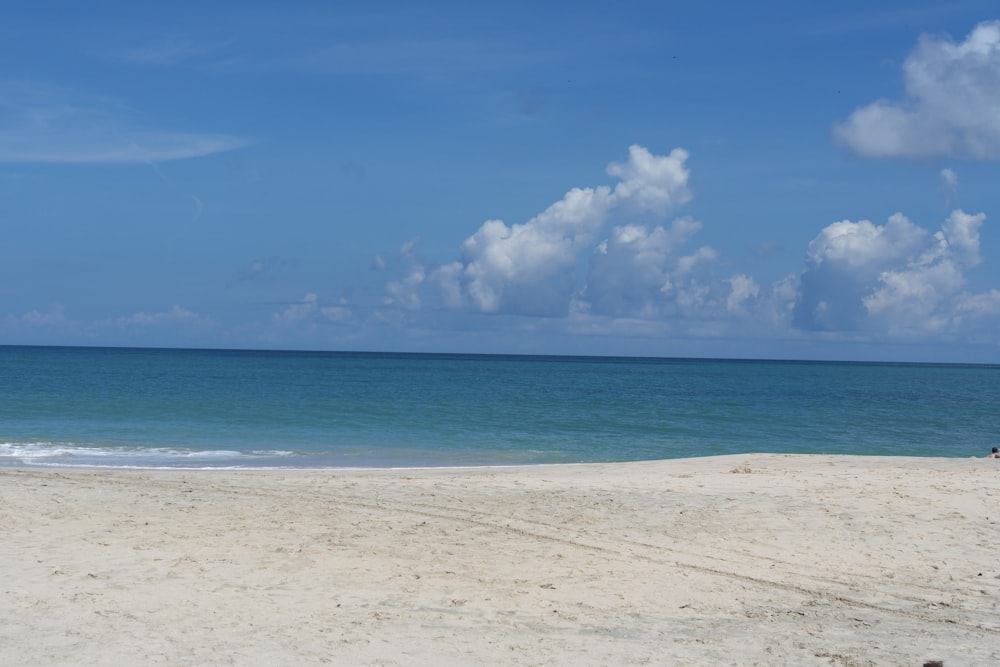 a person walking on a beach near the ocean