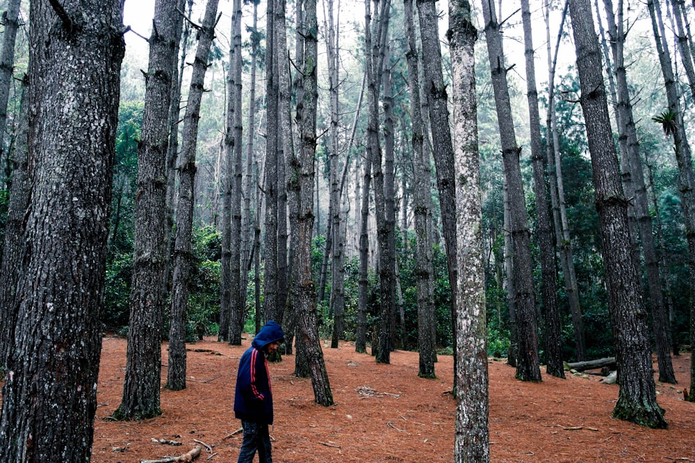 a person standing in the middle of a forest