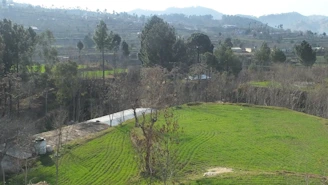 An open green plot of land in Lalru with clear boundary markers and a scenic backdrop of hills.