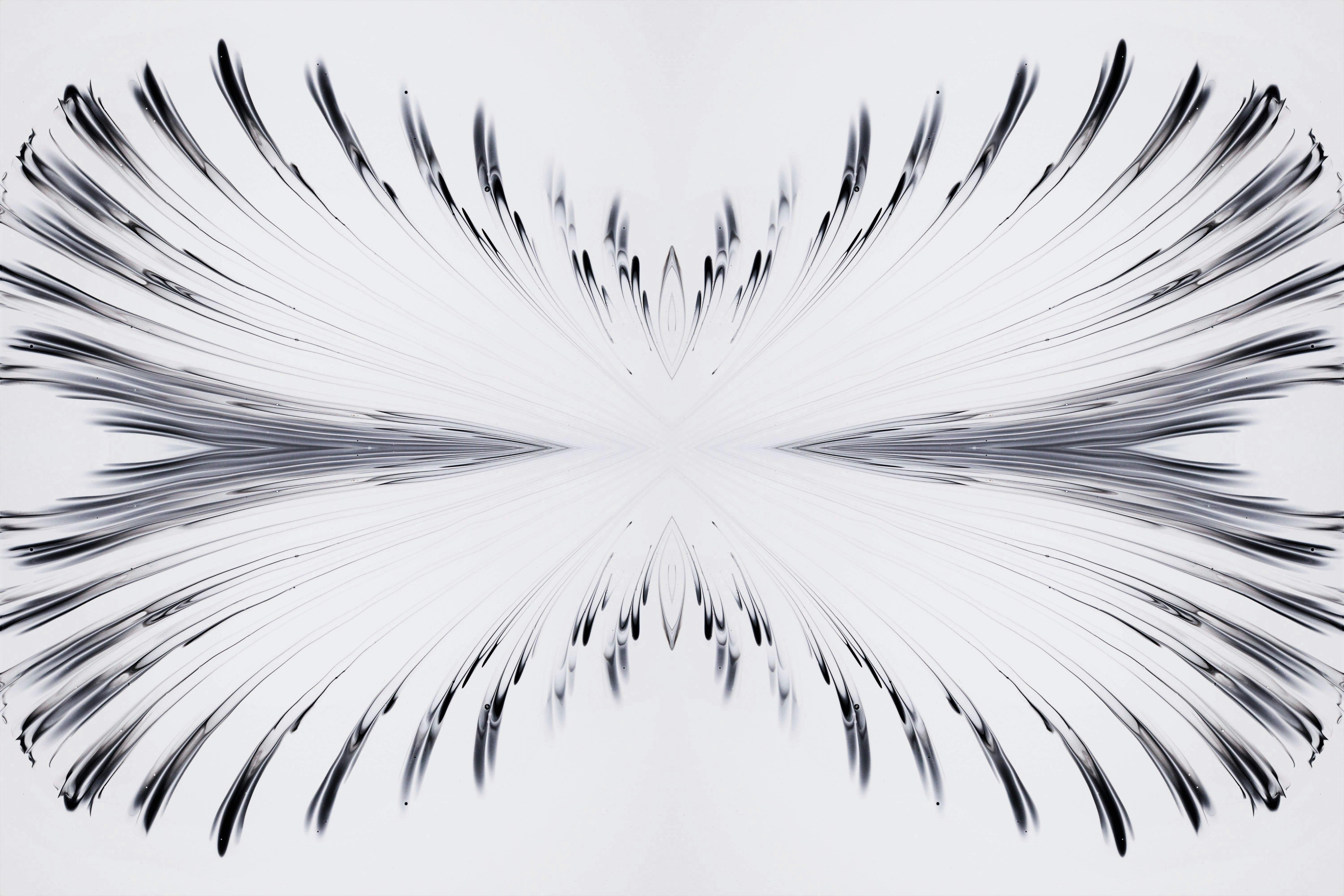 Photo by susan_wilkinson