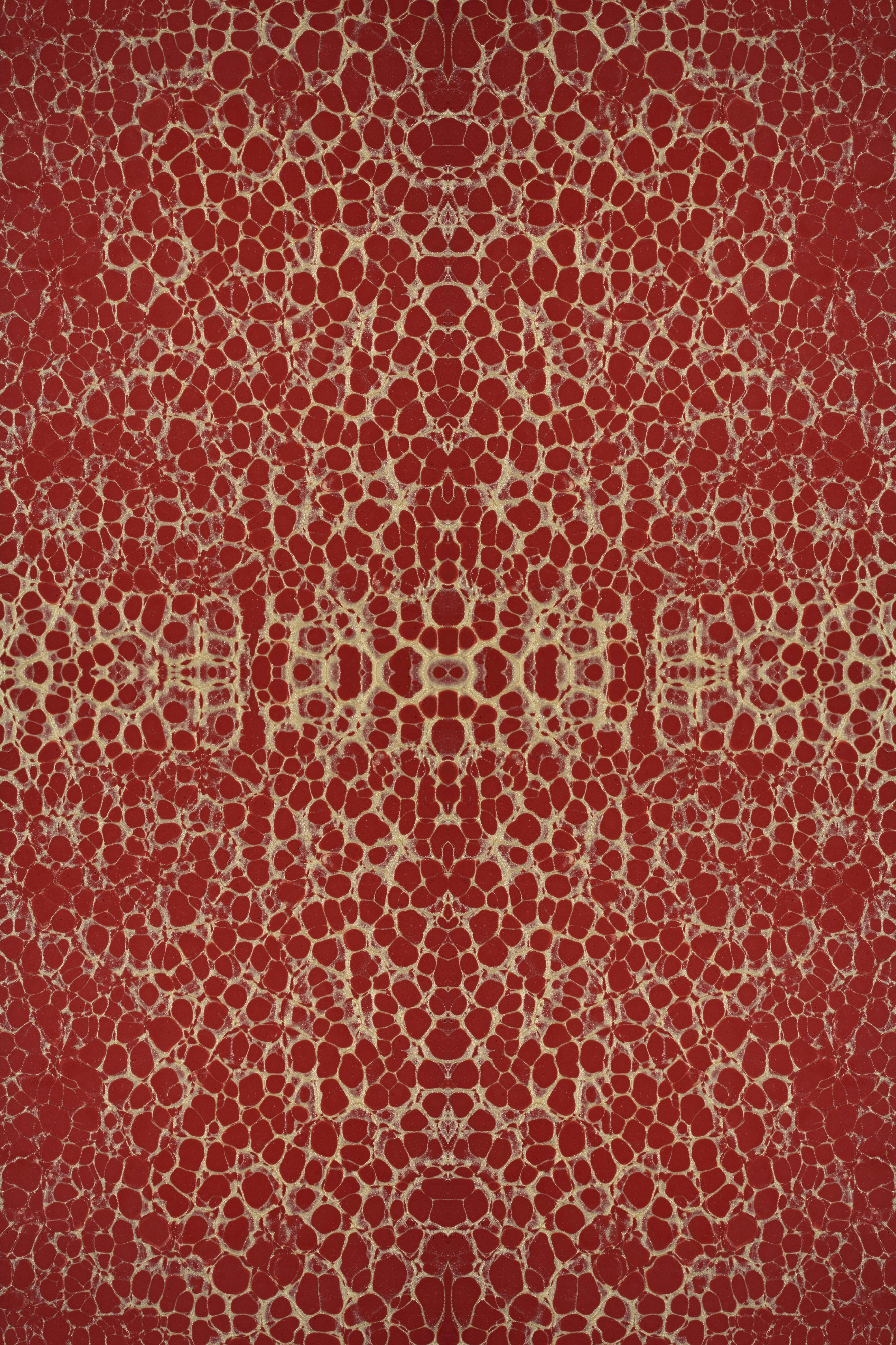 Photo by susan_wilkinson