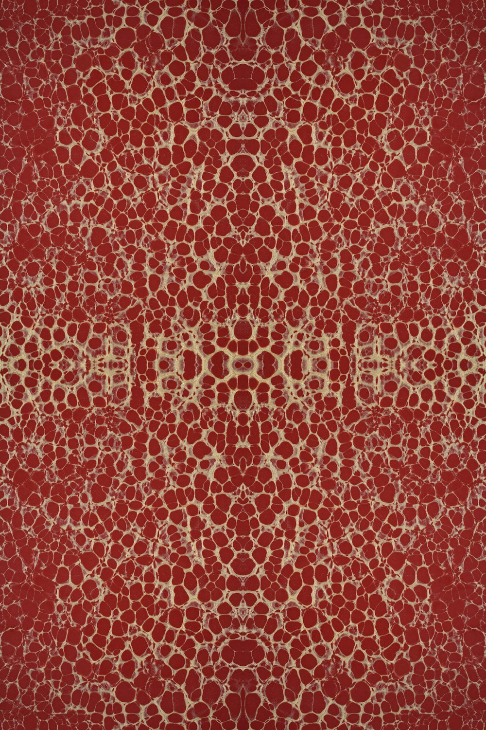 a red and white rug with a pattern on it